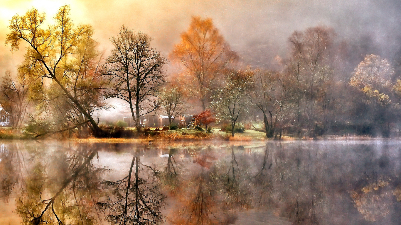 Arbres Bruns à Côté de la Rivière Pendant la Journée. Wallpaper in 1366x768 Resolution