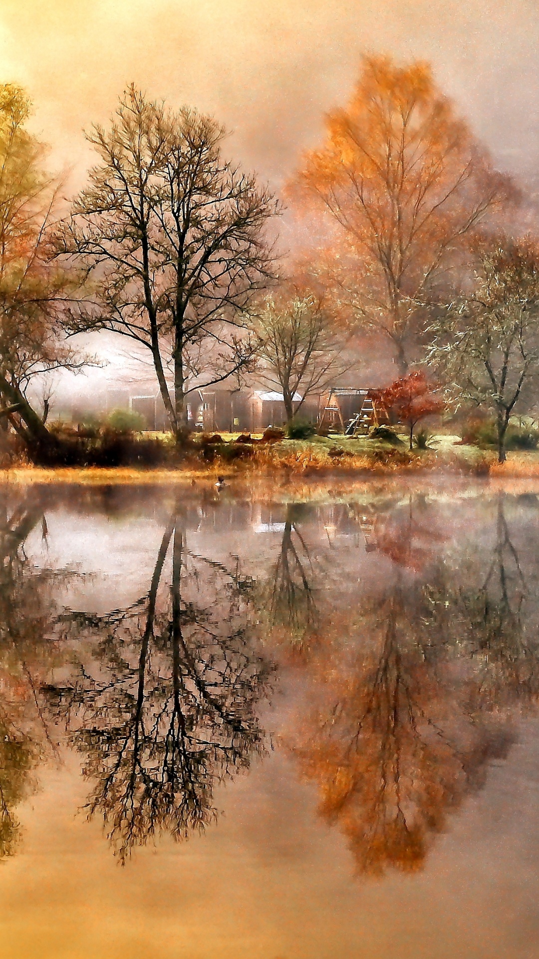 Brown Trees Beside River During Daytime. Wallpaper in 1080x1920 Resolution