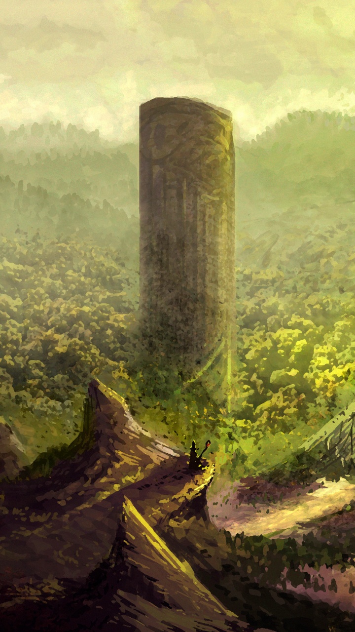 Green Grass and Brown Tree Trunk. Wallpaper in 720x1280 Resolution