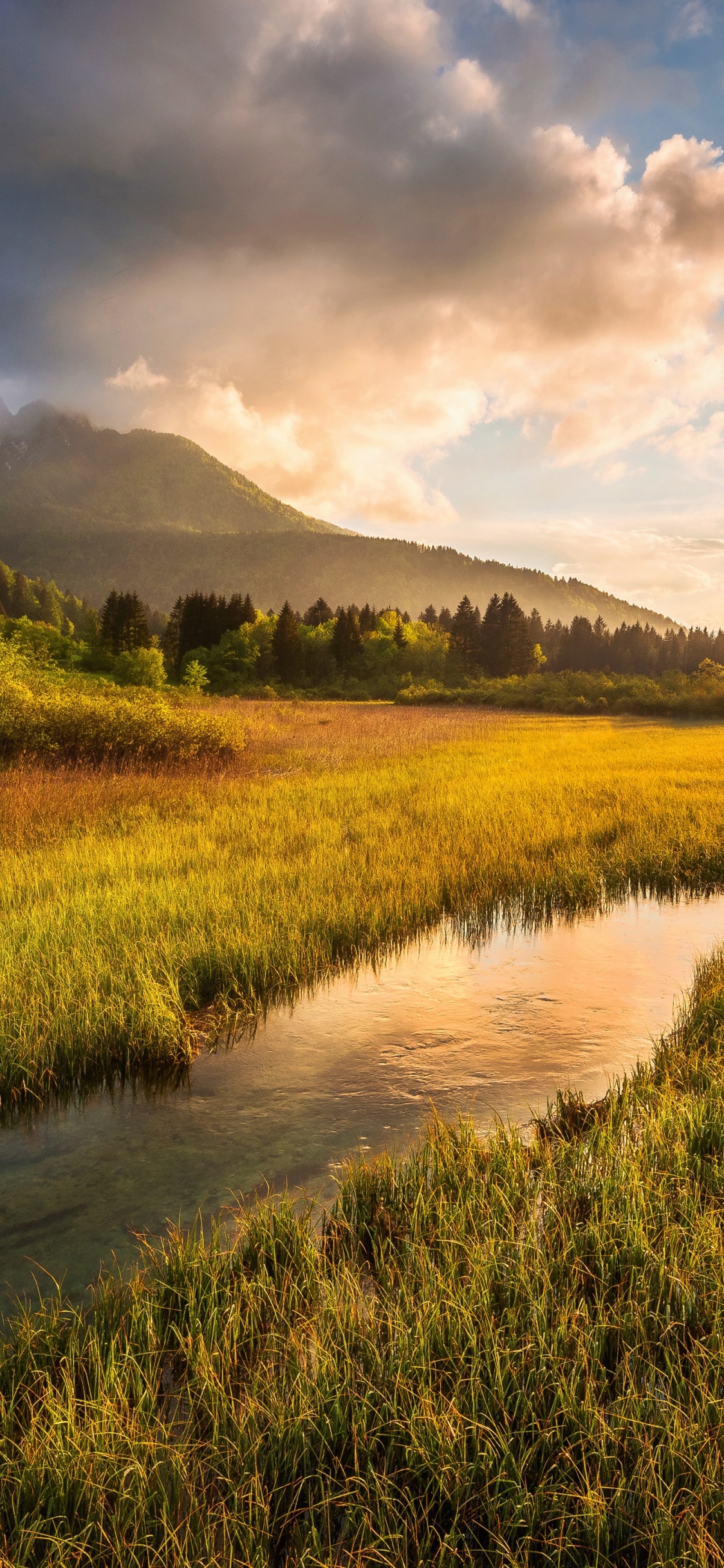 Julianische Alpen, Alpen, Cloud, Ökoregion, Wasser. Wallpaper in 1125x2436 Resolution