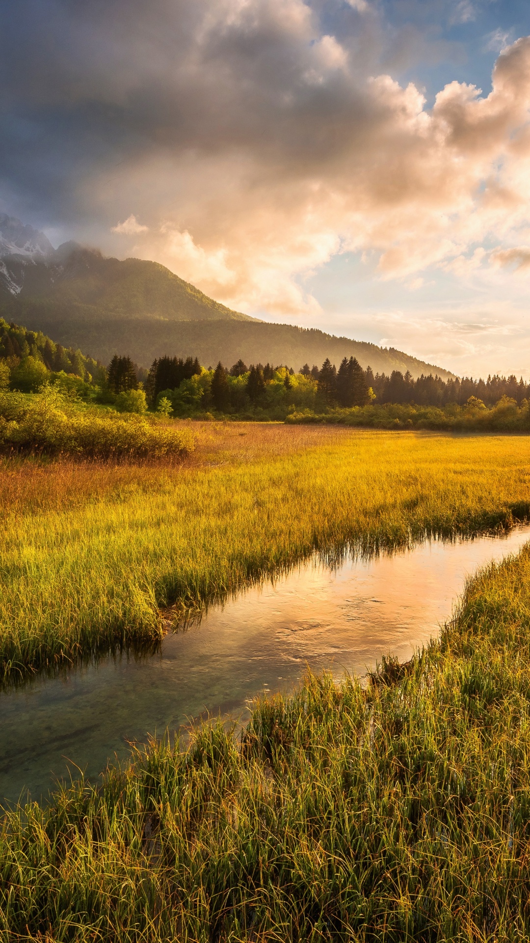 Julijske Alpe, Alps, Cloud, Plant, Ecoregion. Wallpaper in 1080x1920 Resolution