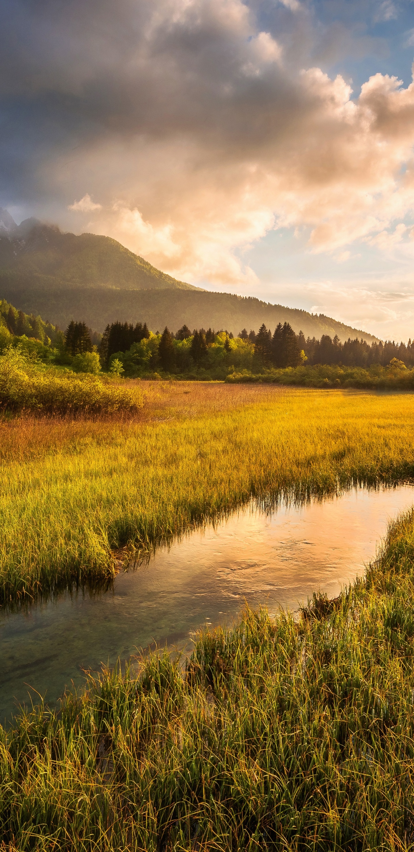 Julijske Alpe, Alps, Cloud, Plant, Ecoregion. Wallpaper in 1440x2960 Resolution