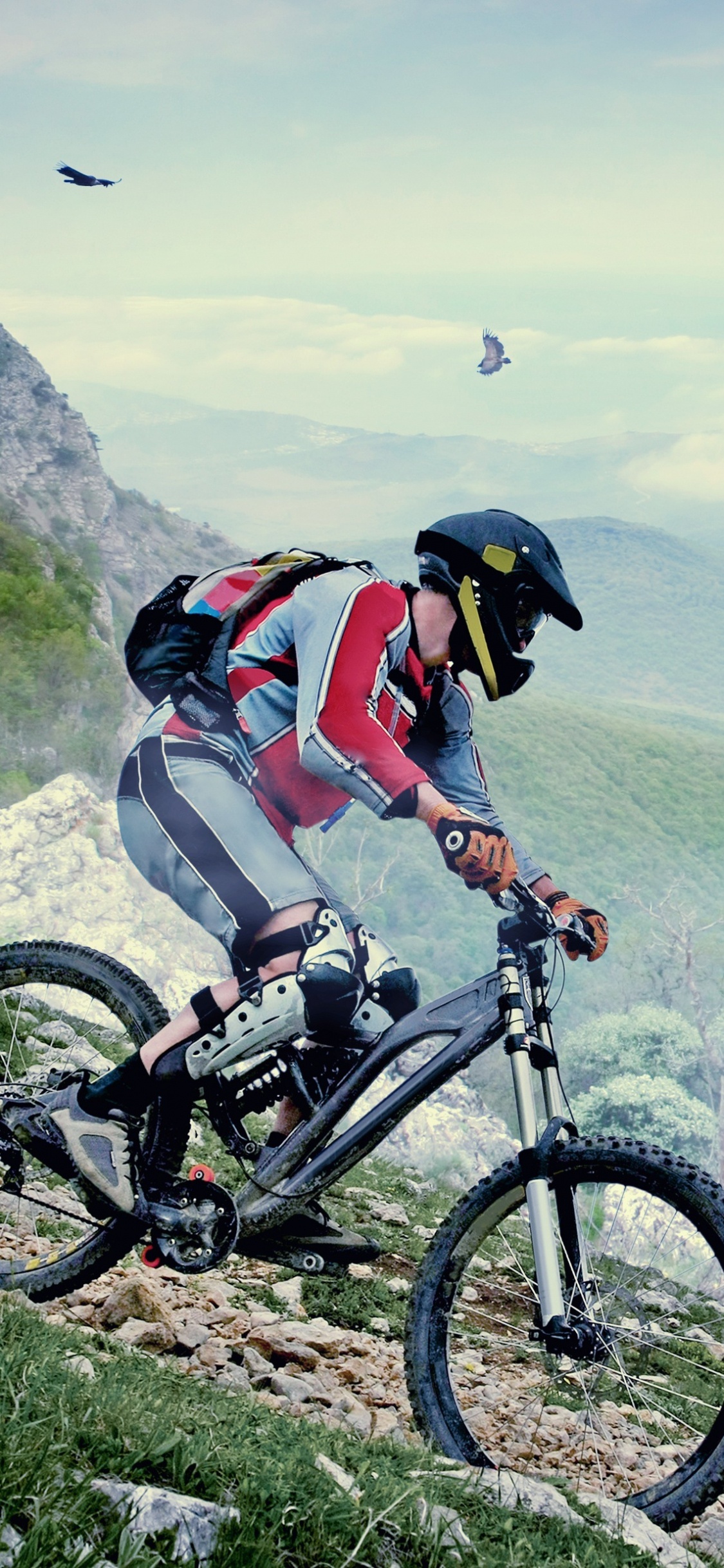 自行车, 循环的运动, 山地自行车, 山地自行车赛车, 自由 壁纸 1125x2436 允许