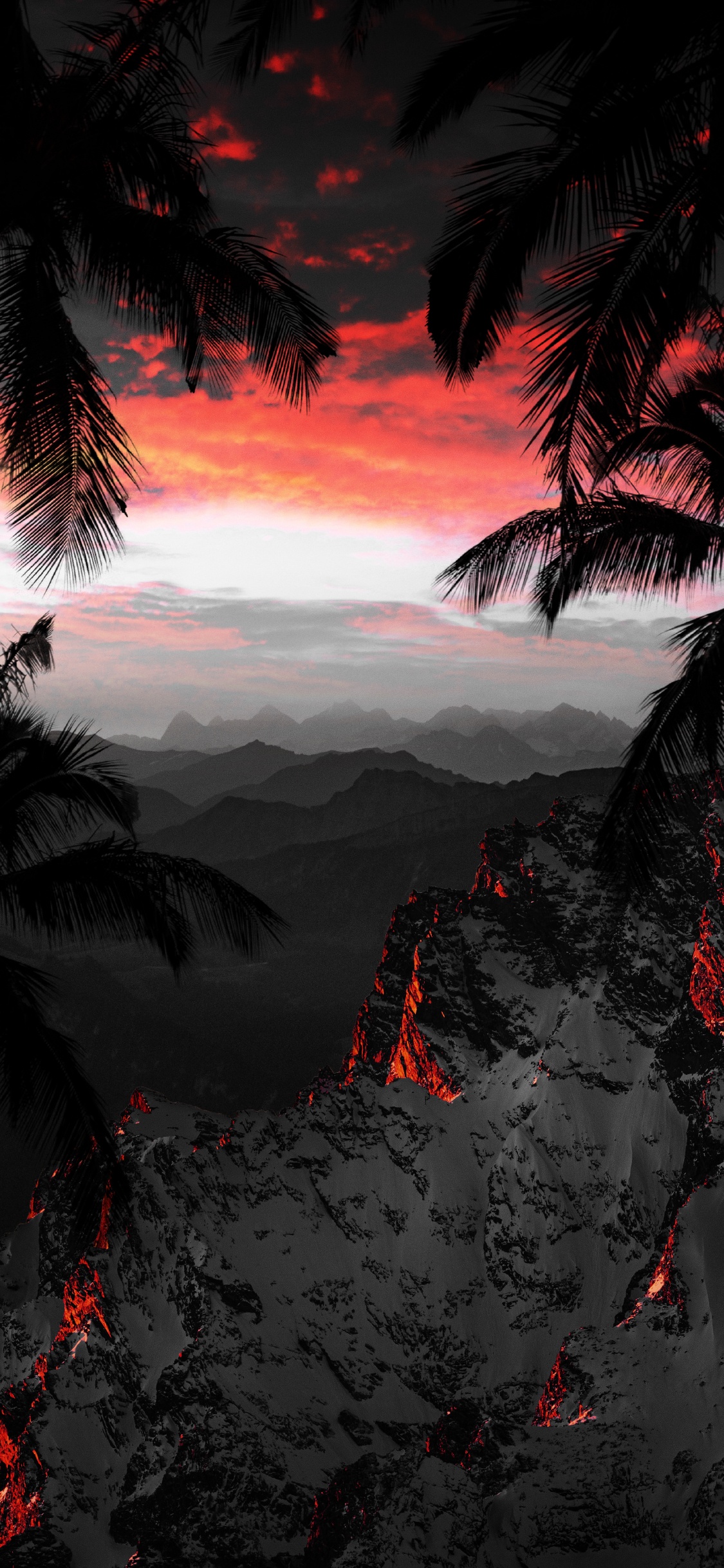 Nature, Atmosphère, Paysage Naturel, Végétation. Wallpaper in 1125x2436 Resolution