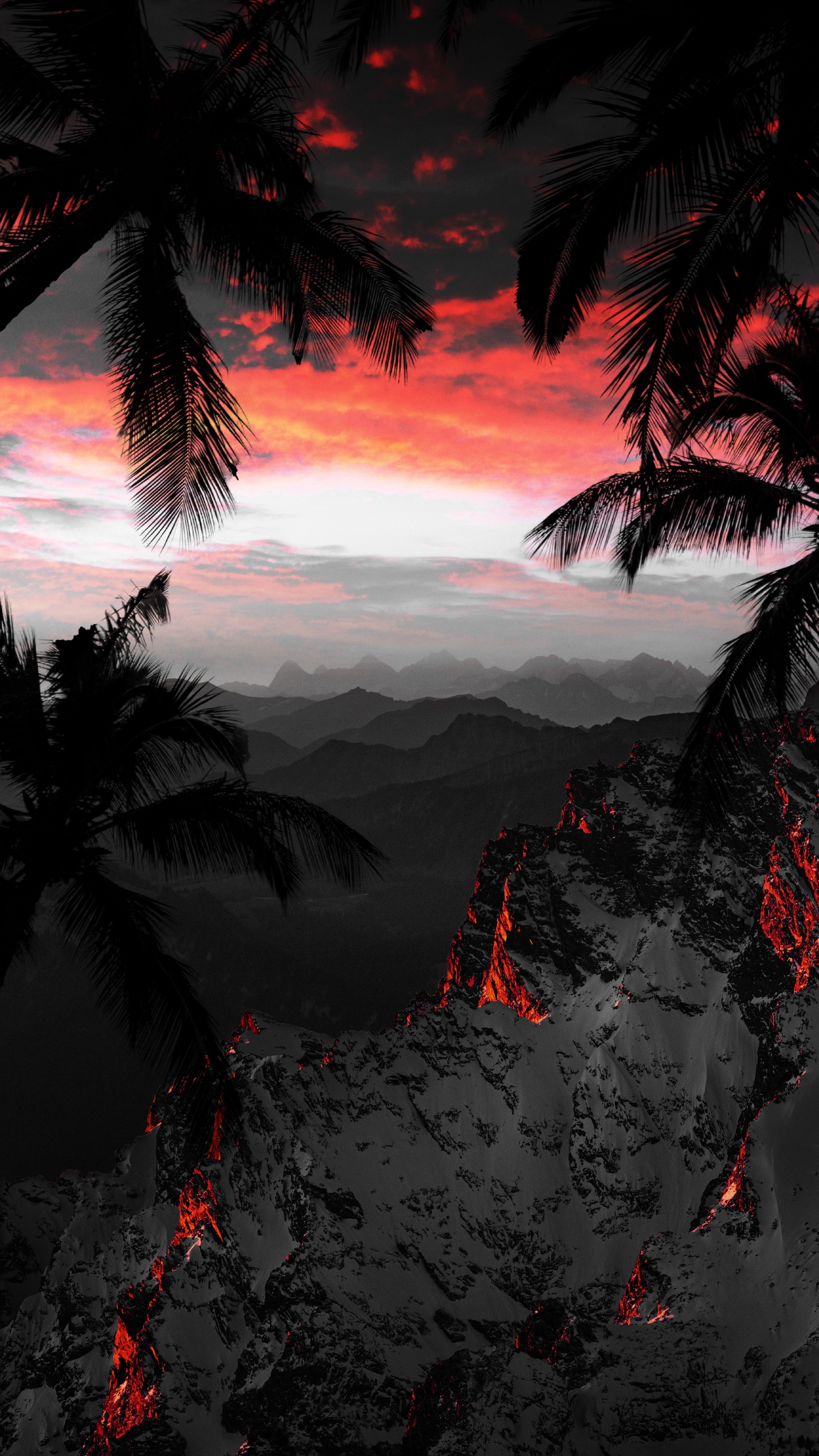 Nature, Atmosphère, Paysage Naturel, Végétation. Wallpaper in 1440x2560 Resolution