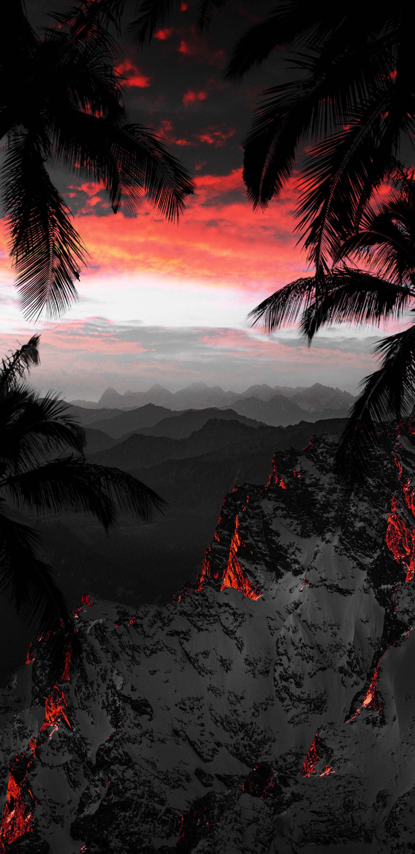 Nature, Cloud, Atmosphere, World, Plant. Wallpaper in 1440x2960 Resolution