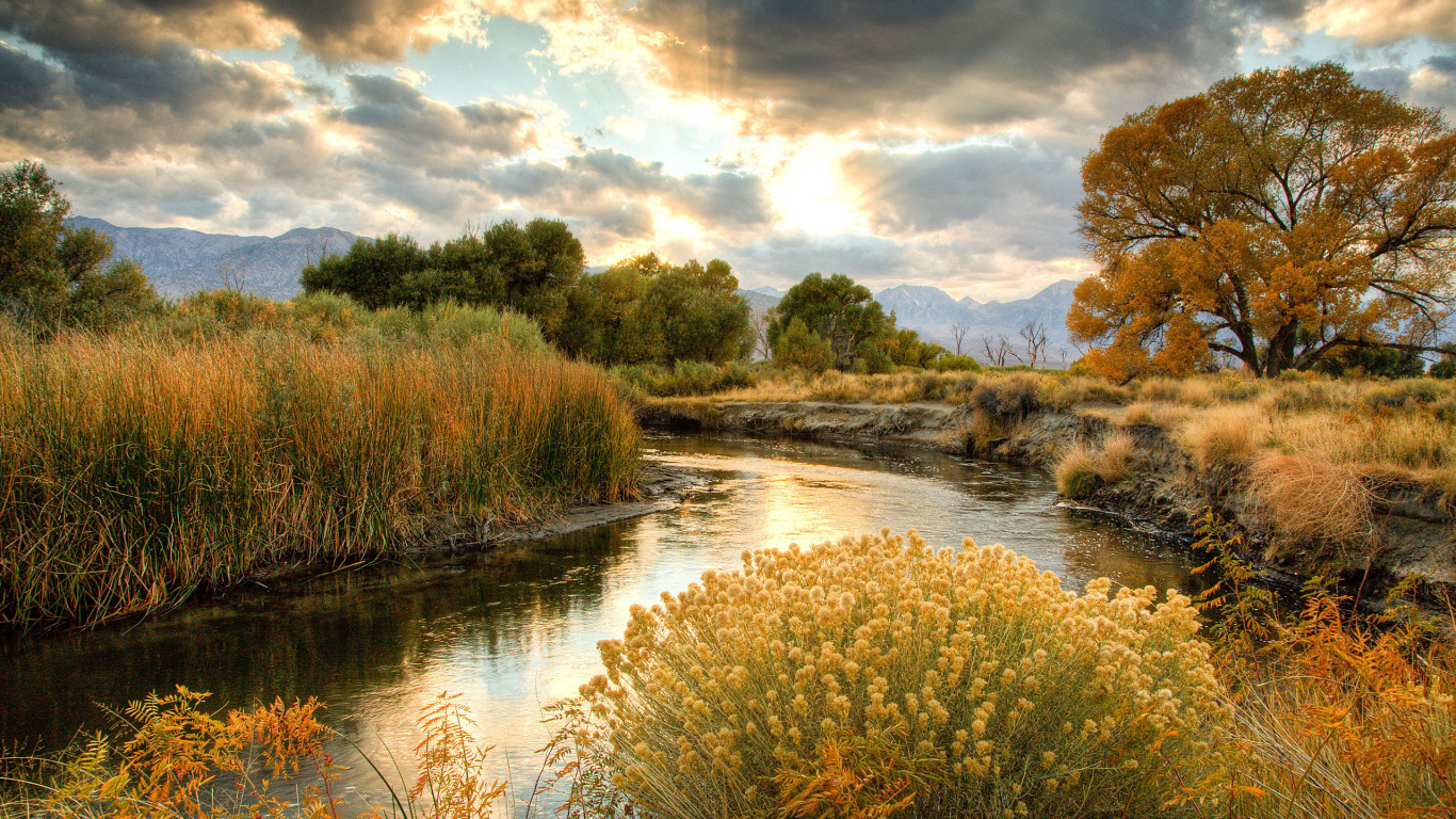 Green Trees Beside River Under Cloudy Sky During Daytime. Wallpaper in 1366x768 Resolution