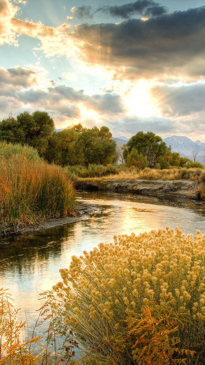 Green Trees Beside River Under Cloudy Sky During Daytime. Wallpaper in 720x1280 Resolution