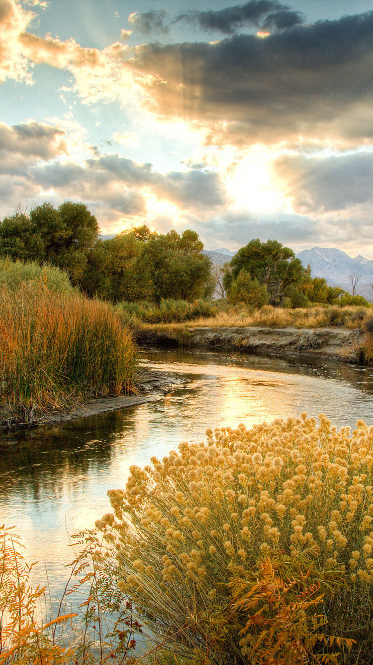 Green Trees Beside River Under Cloudy Sky During Daytime. Wallpaper in 750x1334 Resolution
