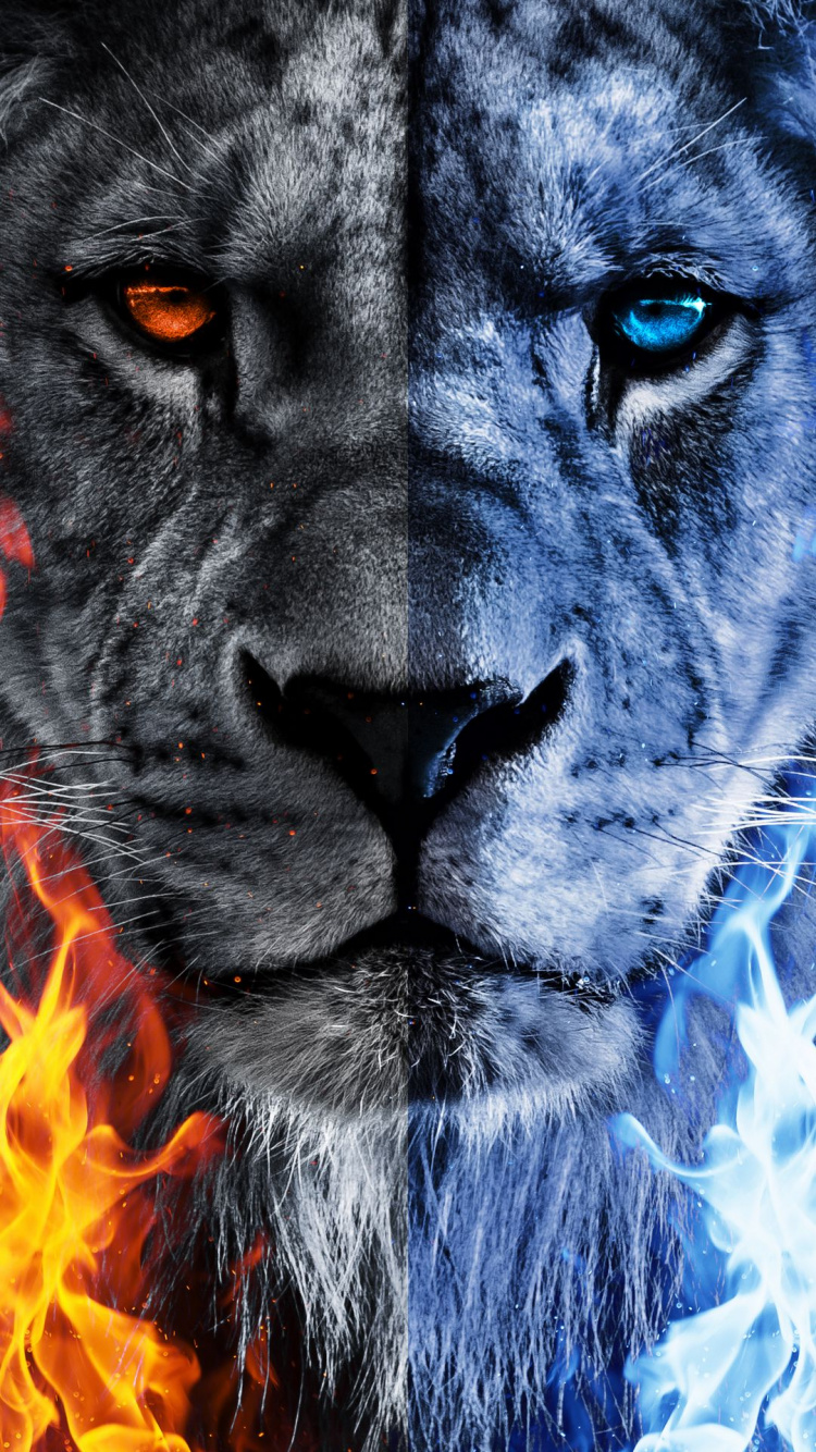 Lion, Portrait, Dessin, Arts Visuels, Graphisme. Wallpaper in 750x1334 Resolution