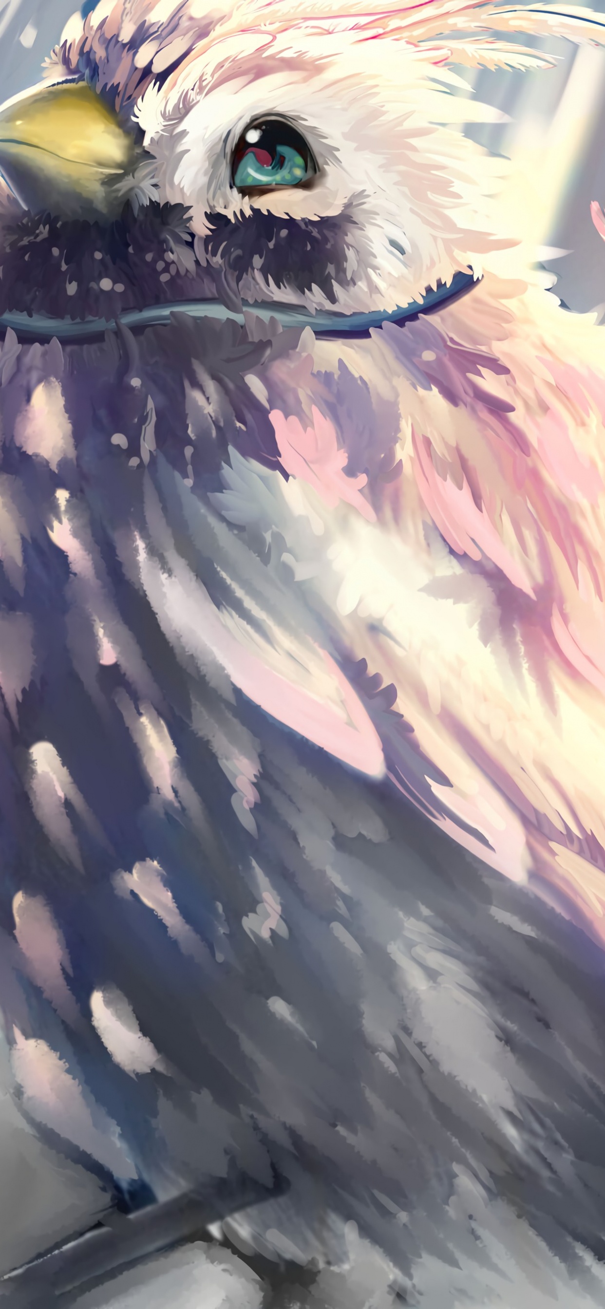 White and Black Bird Illustration. Wallpaper in 1242x2688 Resolution