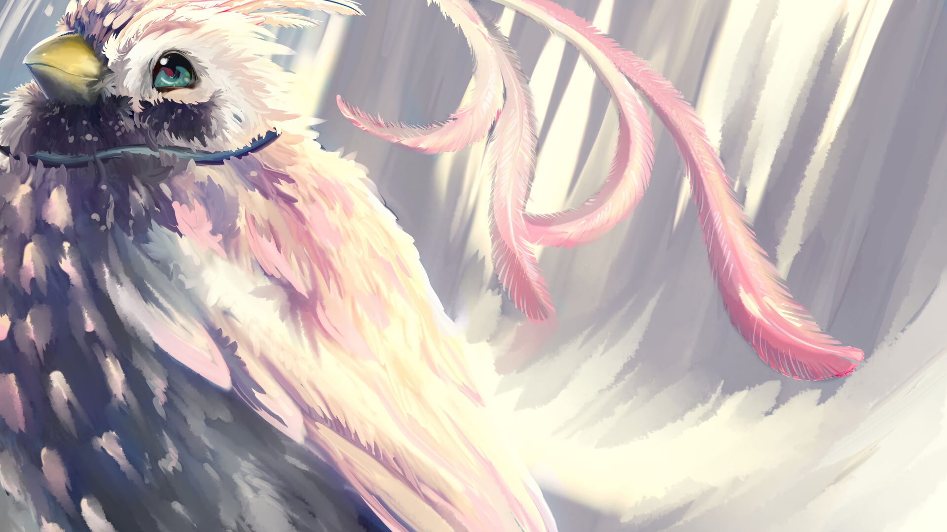 Illustration D'oiseau Blanc et Noir. Wallpaper in 1920x1080 Resolution