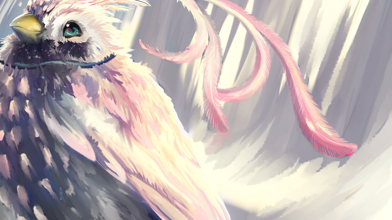 Weiße Und Schwarze Vogelillustration. Wallpaper in 1366x768 Resolution