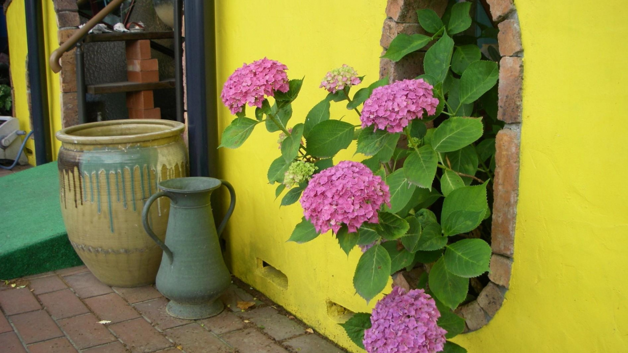 Purple Flowers in Blue Ceramic Vase Beside Blue Ceramic Vase. Wallpaper in 1280x720 Resolution