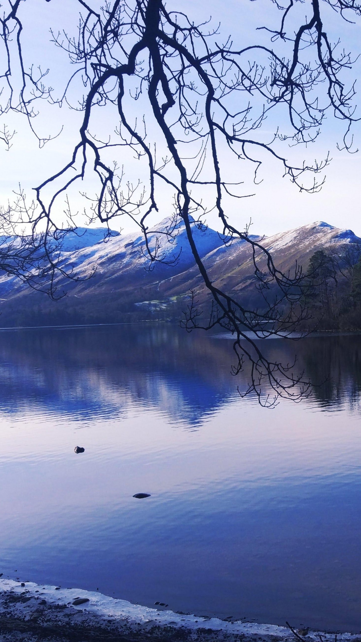 Reflection, Body of Water, Nature, Natural Landscape, Water. Wallpaper in 1440x2560 Resolution