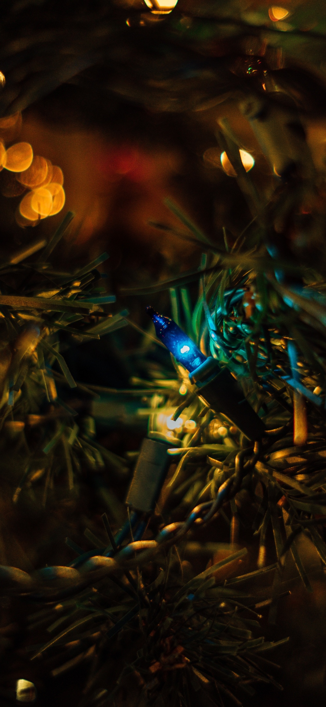 Bokeh, Luz, Fábrica, Gráficos, Azul. Wallpaper in 1125x2436 Resolution