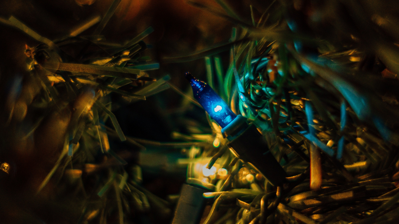 Bokeh, Luz, Fábrica, Gráficos, Azul. Wallpaper in 1366x768 Resolution