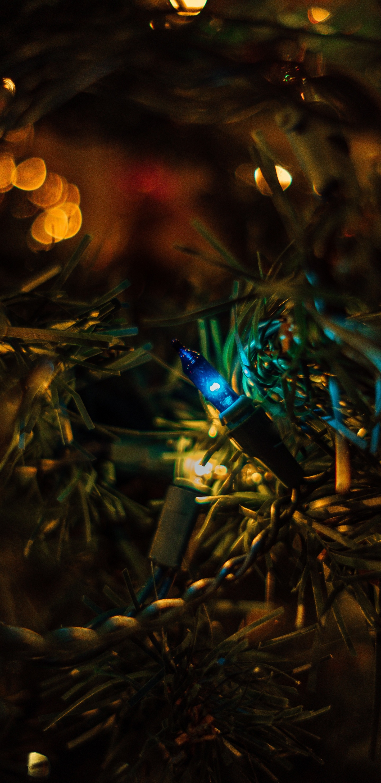 Obscurité, Bokeh, Lumière, Nuit, Usine. Wallpaper in 1440x2960 Resolution