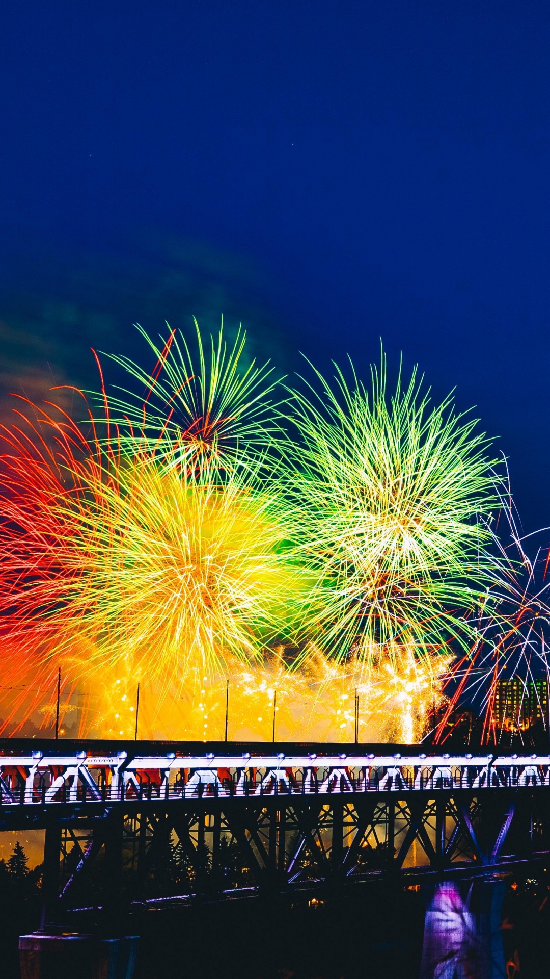 Feuerwerk, Nacht, Festival, Natur, Stadtlandschaften. Wallpaper in 1080x1920 Resolution