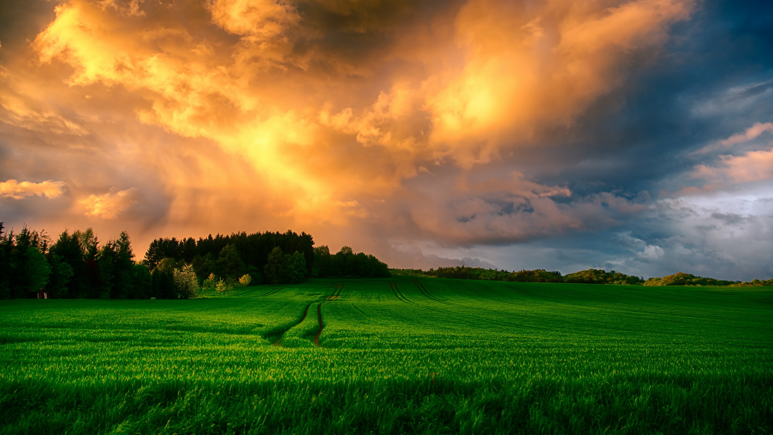 Green Grass Field Under Cloudy Sky During Daytime. Wallpaper in 2560x1440 Resolution
