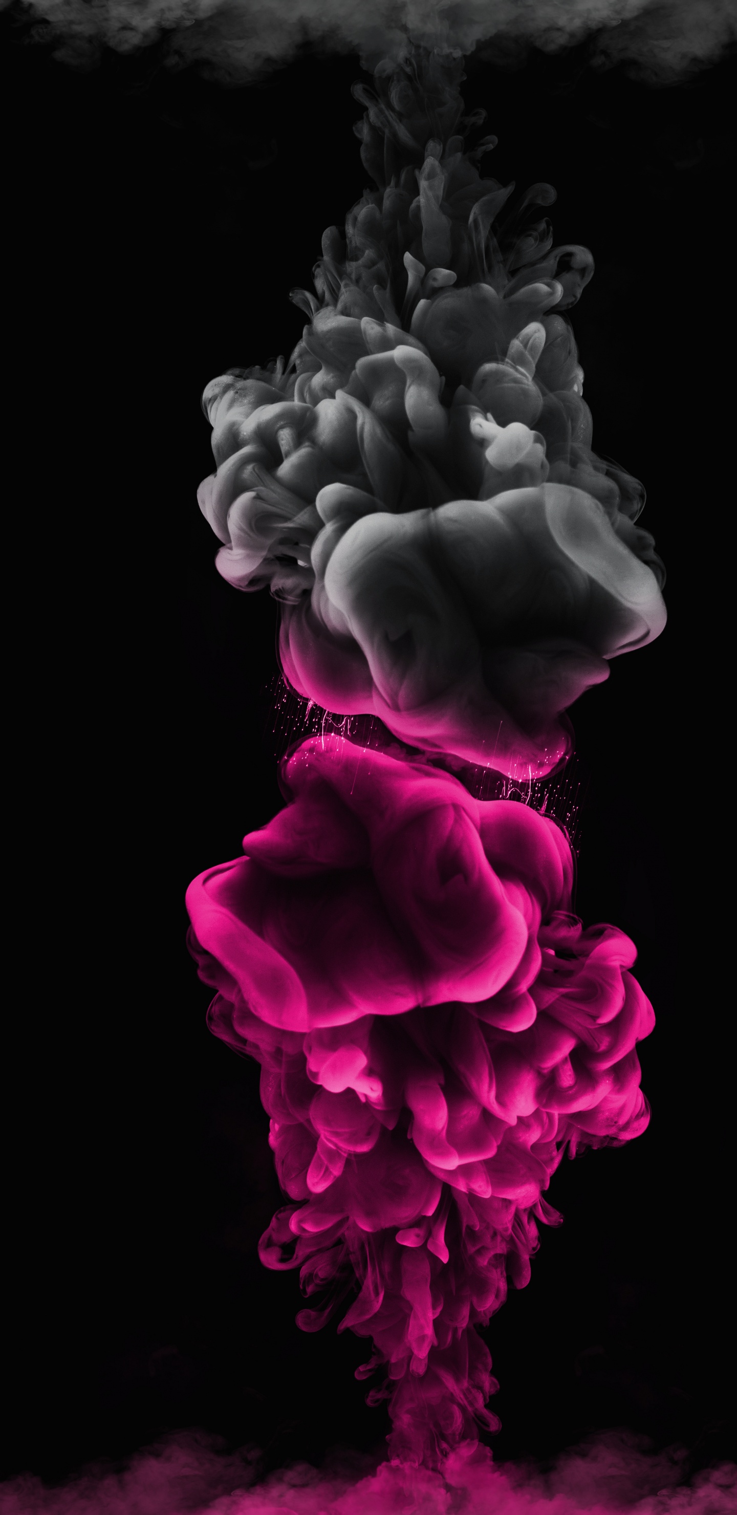 黑色的, 粉红色, 紫色的, 手势, 紫罗兰色 壁纸 1440x2960 允许