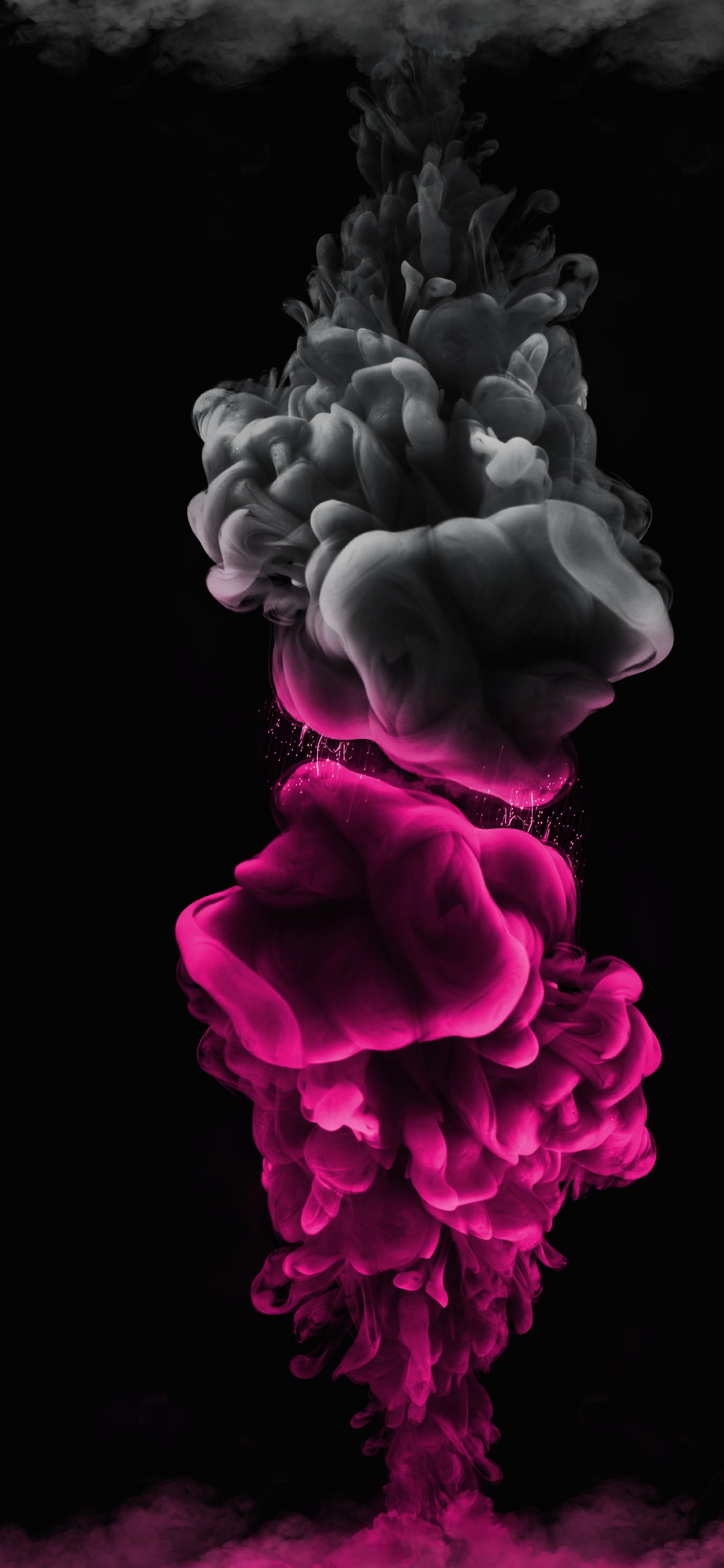 Noir, Pink, Color, Blue, Purple. Wallpaper in 1125x2436 Resolution