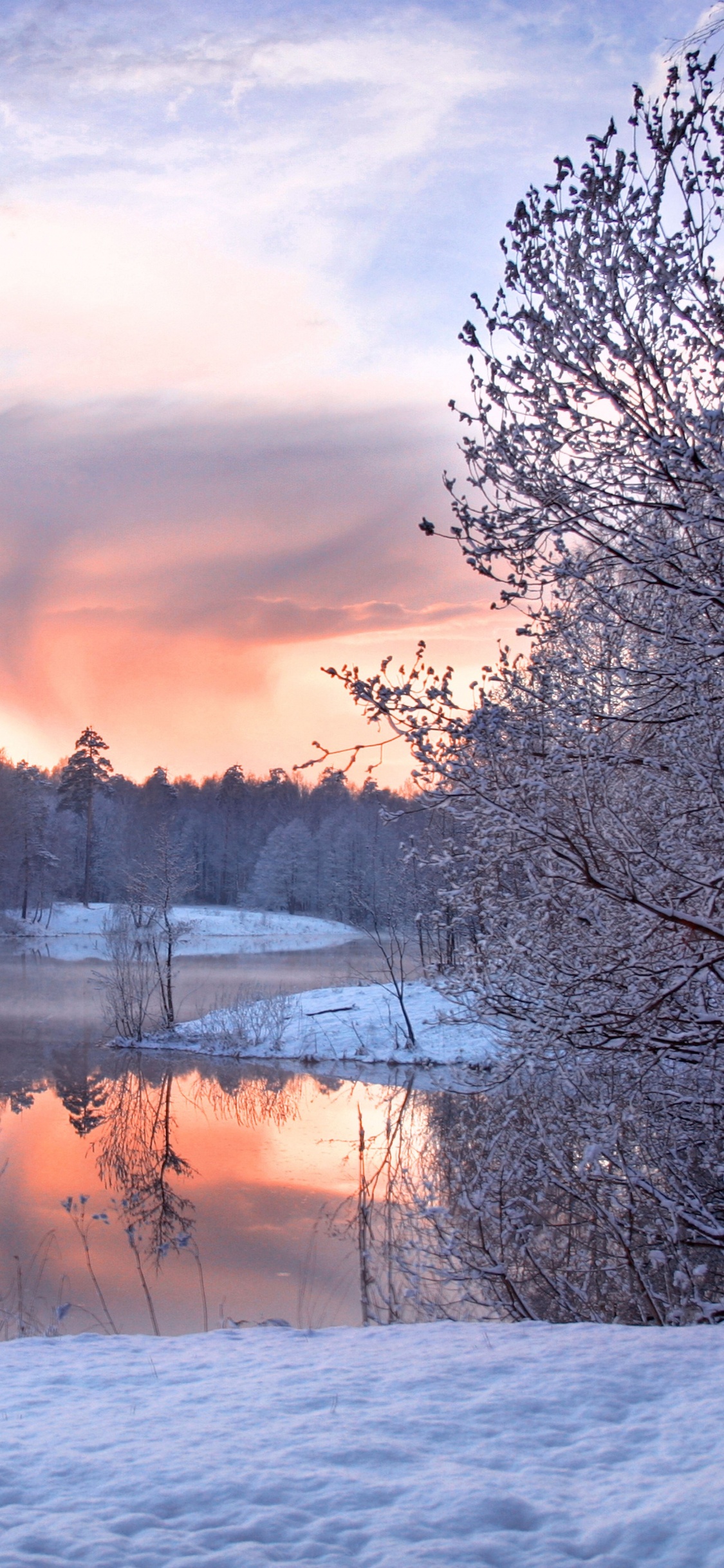 Schneebedeckte Bäume Bei Sonnenuntergang. Wallpaper in 1125x2436 Resolution