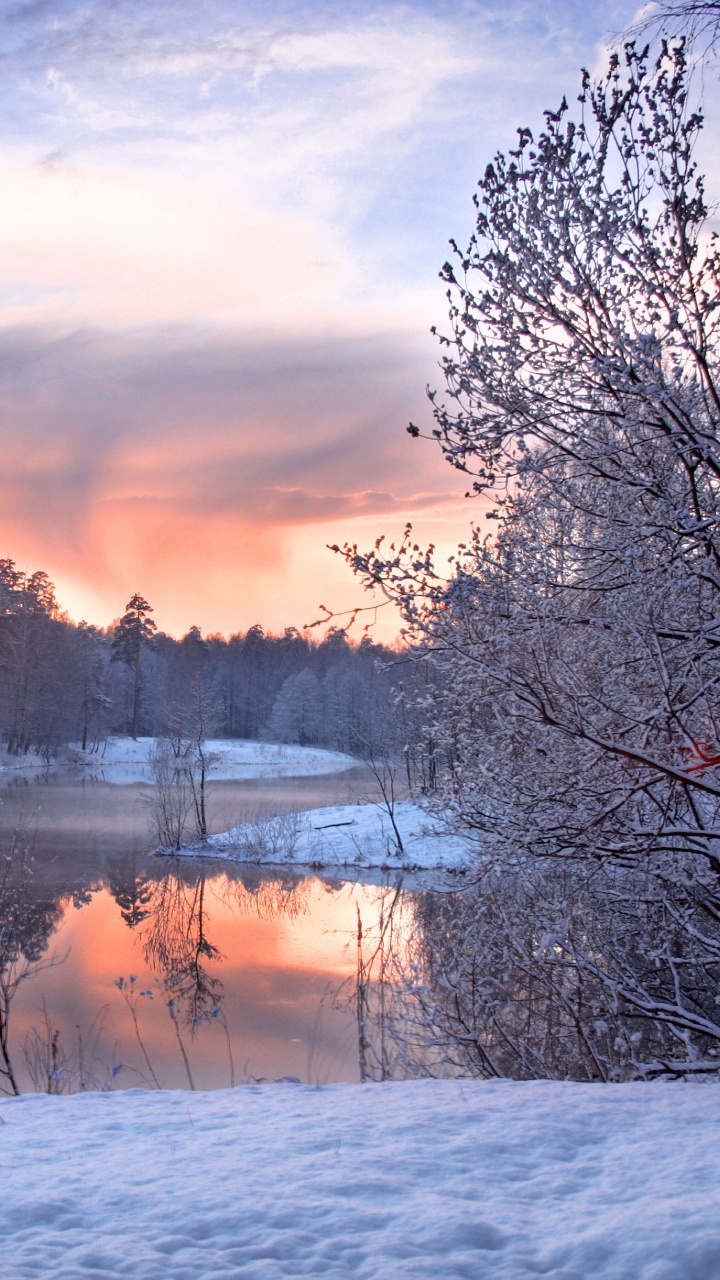 Snow Covered Trees During Sunset. Wallpaper in 720x1280 Resolution