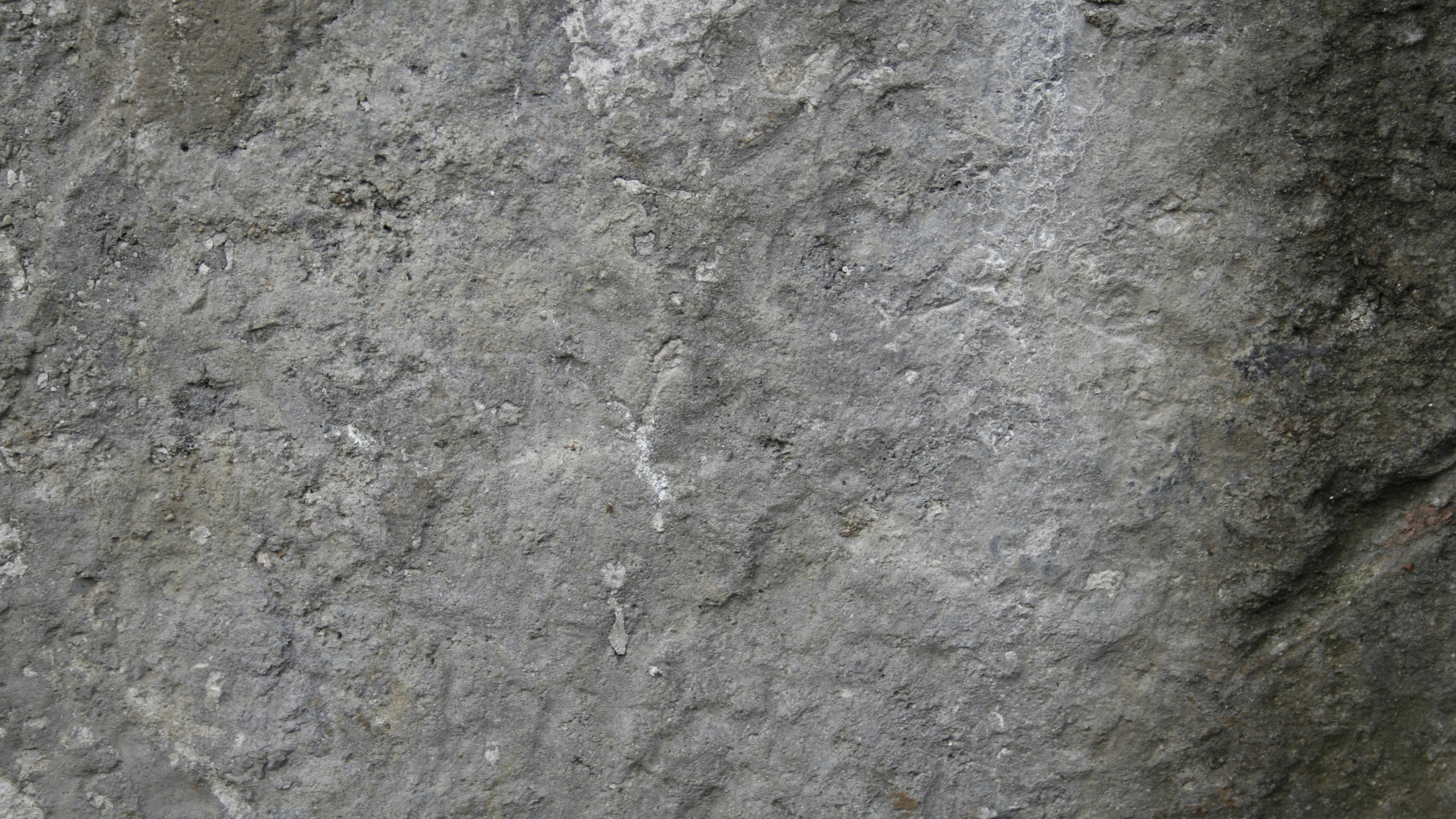 Fragment de Pierre Grise et Noire. Wallpaper in 2560x1440 Resolution