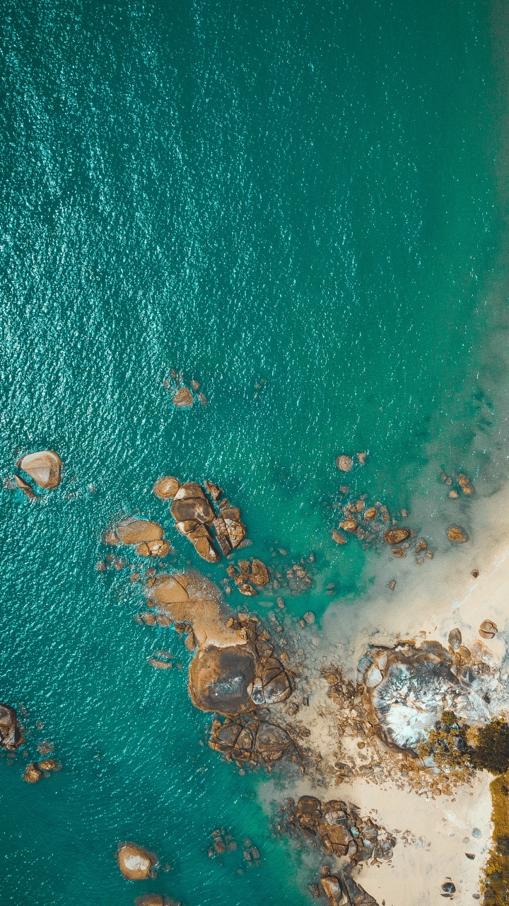 绿色的, 大海, 海岸, Azure, 水资源 壁纸 720x1280 允许