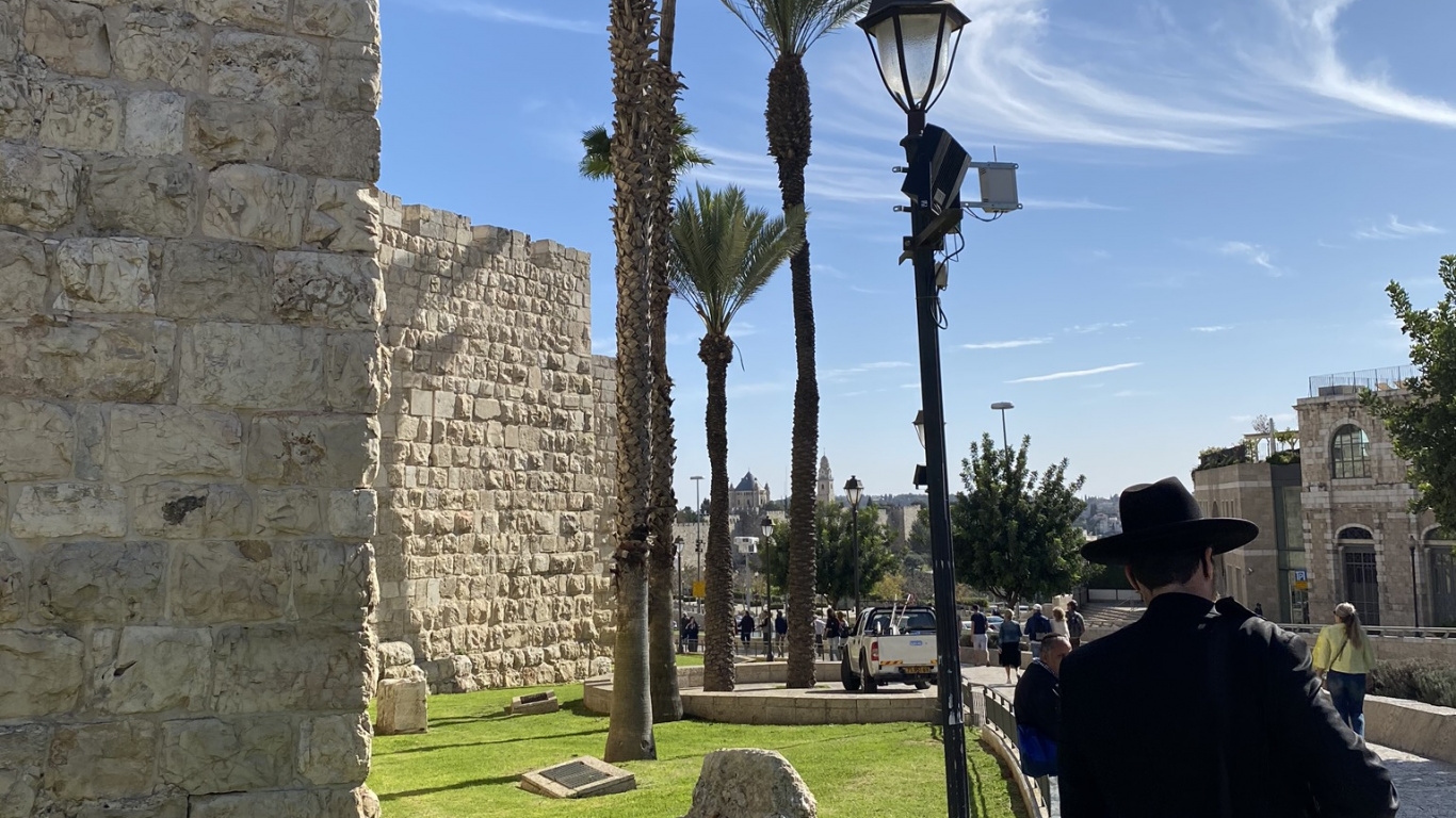 Palme, Ausgrabungsstätte, Baum, Steinmauer, Gepäck Und Taschen. Wallpaper in 1366x768 Resolution