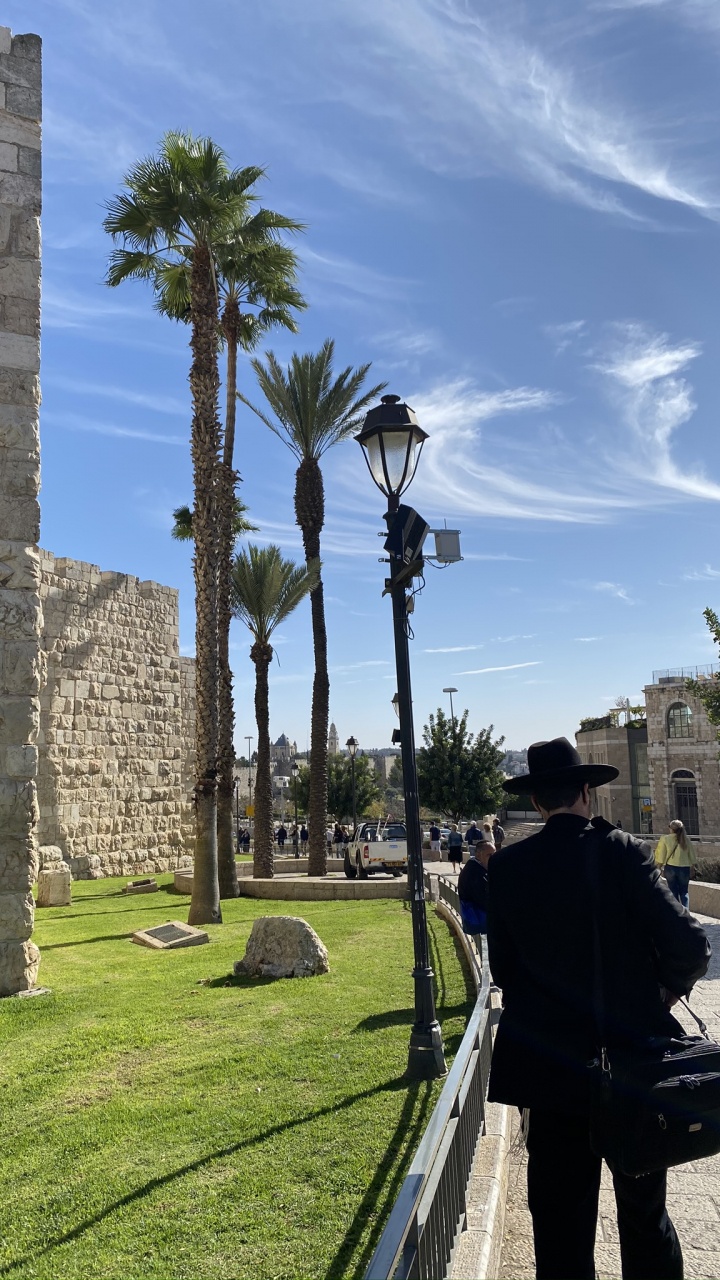 Palmera, Sitio Arqueológico, Humanos, Muro de Piedra, Equipaje y Bolsos. Wallpaper in 720x1280 Resolution