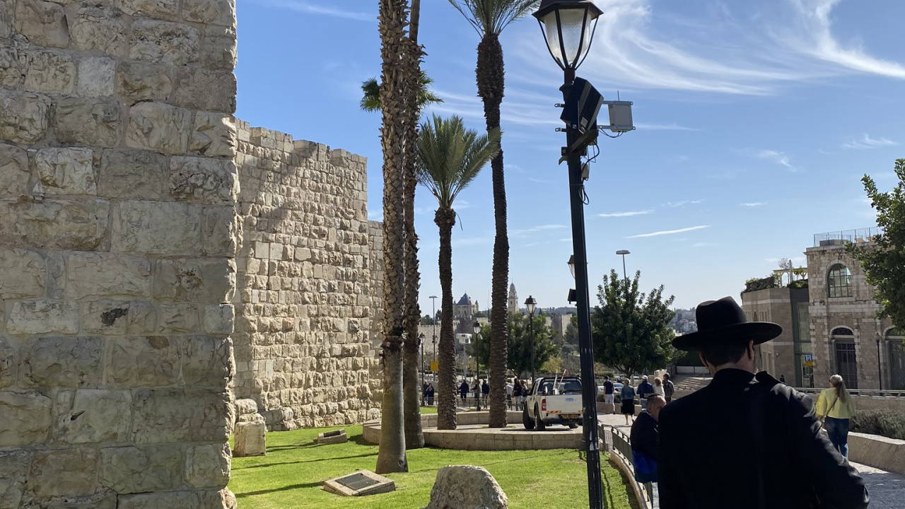 Palmier, Site Archéologique, L'homme, Mur de Pierre, Bagages et Sacs. Wallpaper in 1280x720 Resolution