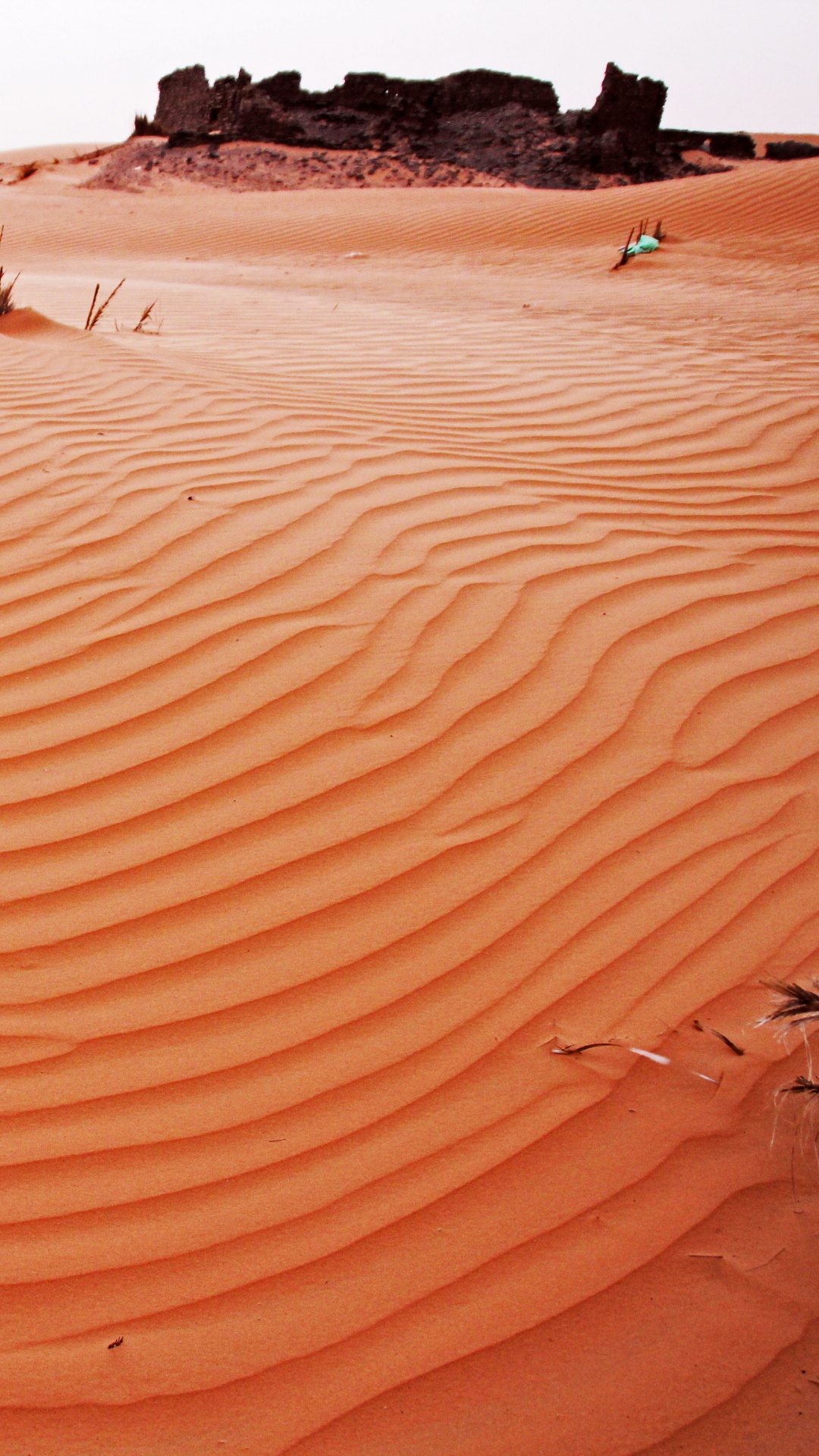 Leute, Die Tagsüber Auf Braunem Sand Laufen. Wallpaper in 1080x1920 Resolution