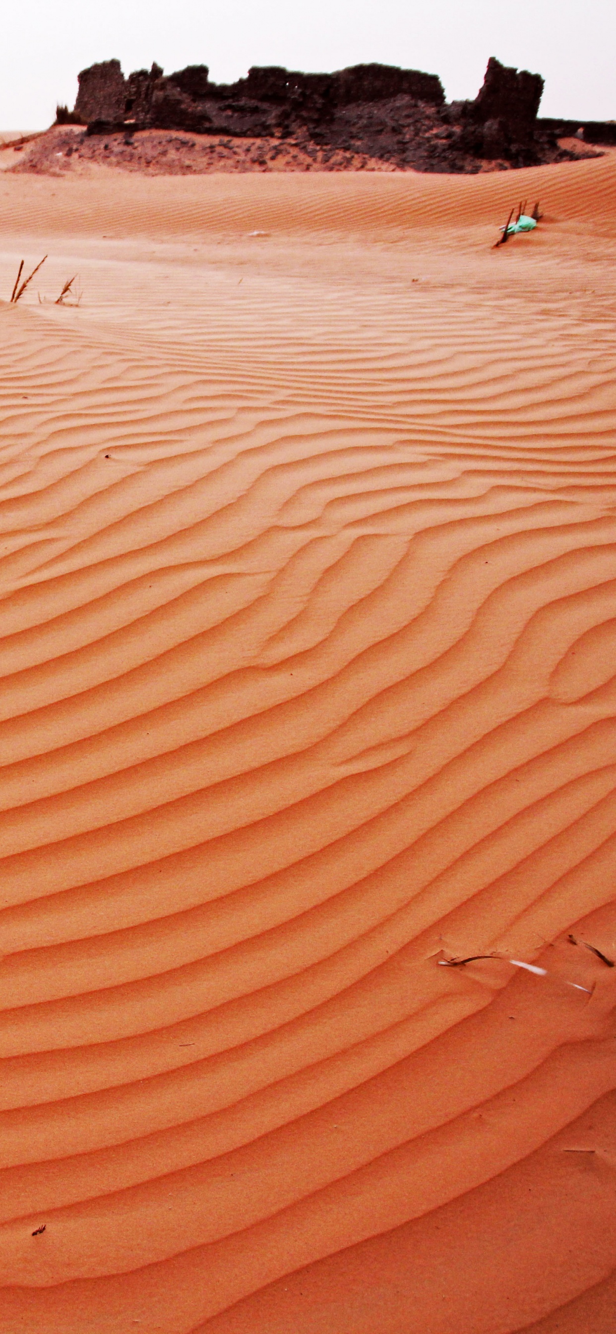 Personnes Marchant Sur du Sable Brun Pendant la Journée. Wallpaper in 1242x2688 Resolution