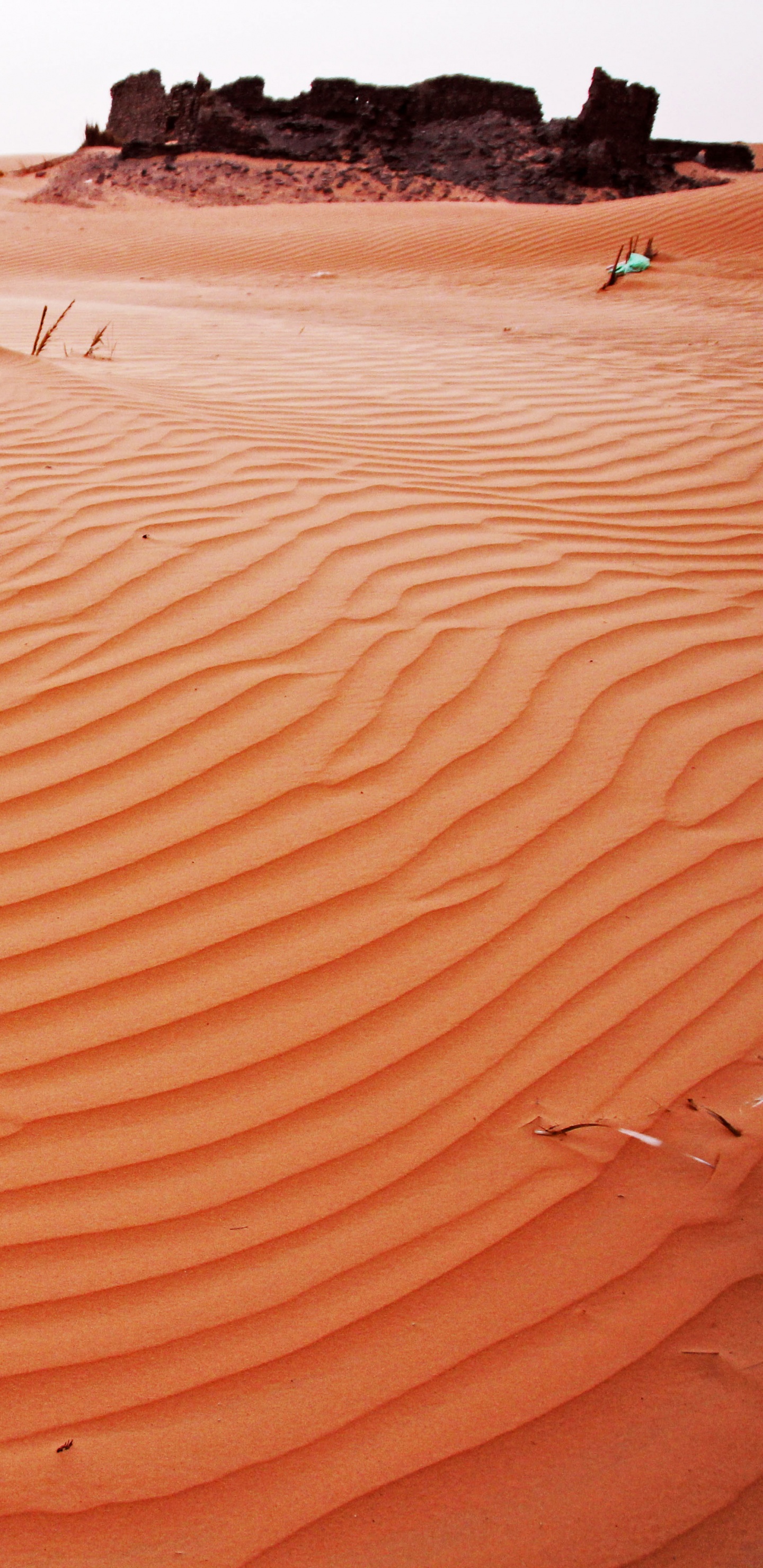 Personnes Marchant Sur du Sable Brun Pendant la Journée. Wallpaper in 1440x2960 Resolution