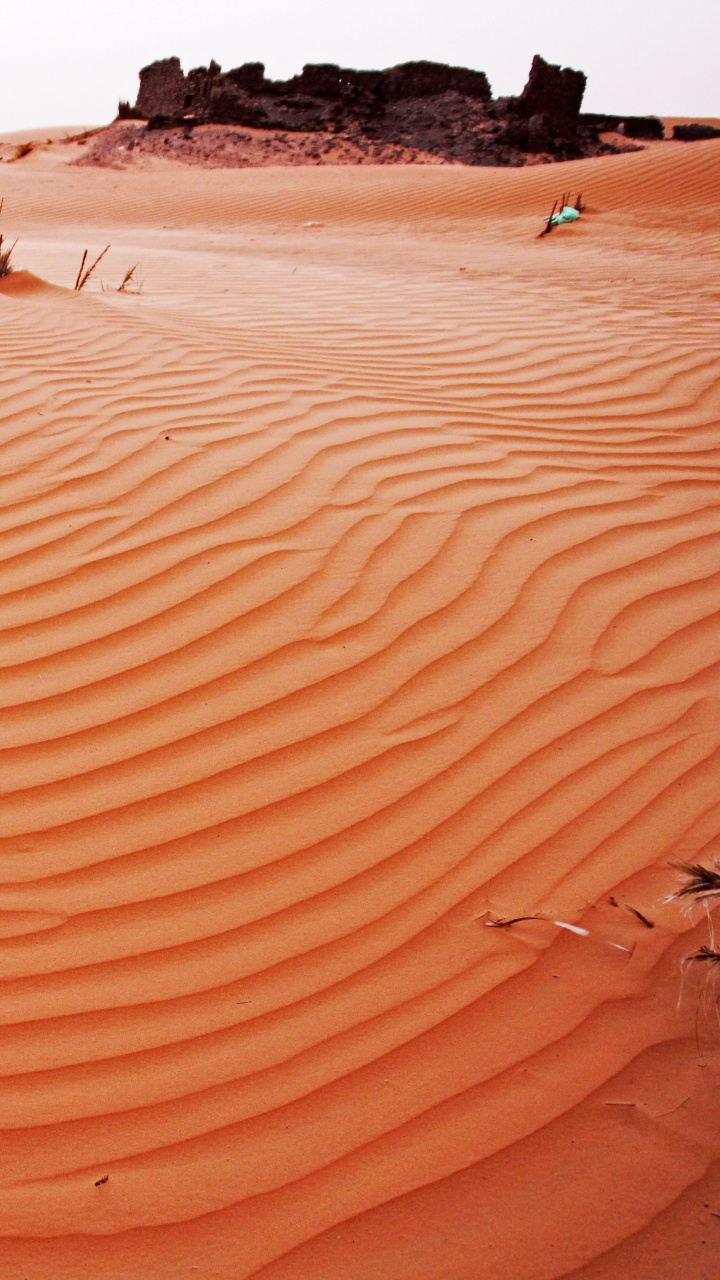 Personnes Marchant Sur du Sable Brun Pendant la Journée. Wallpaper in 720x1280 Resolution