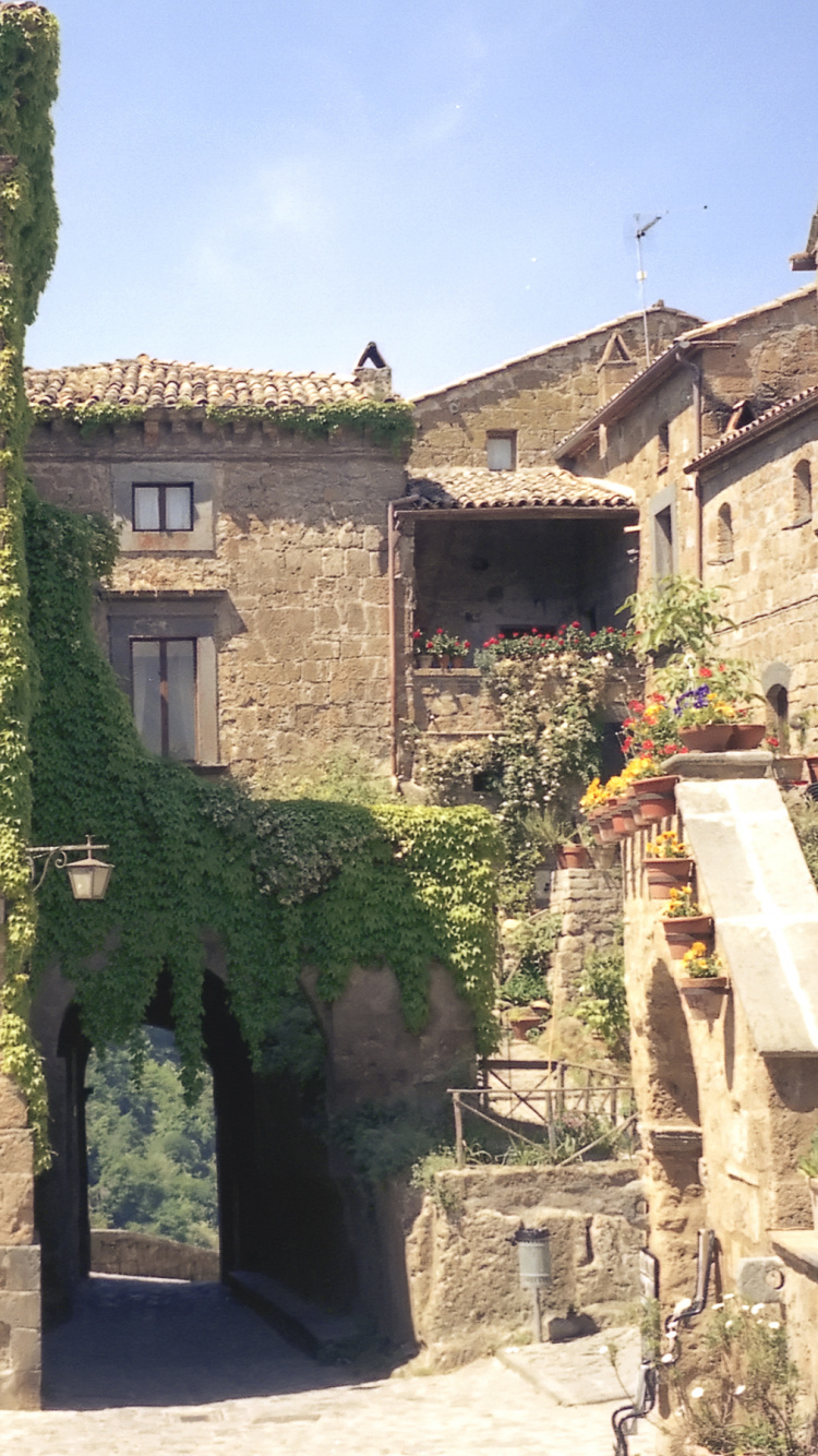 Braunes Betongebäude in Der Nähe Von Grünen Bäumen Tagsüber. Wallpaper in 750x1334 Resolution