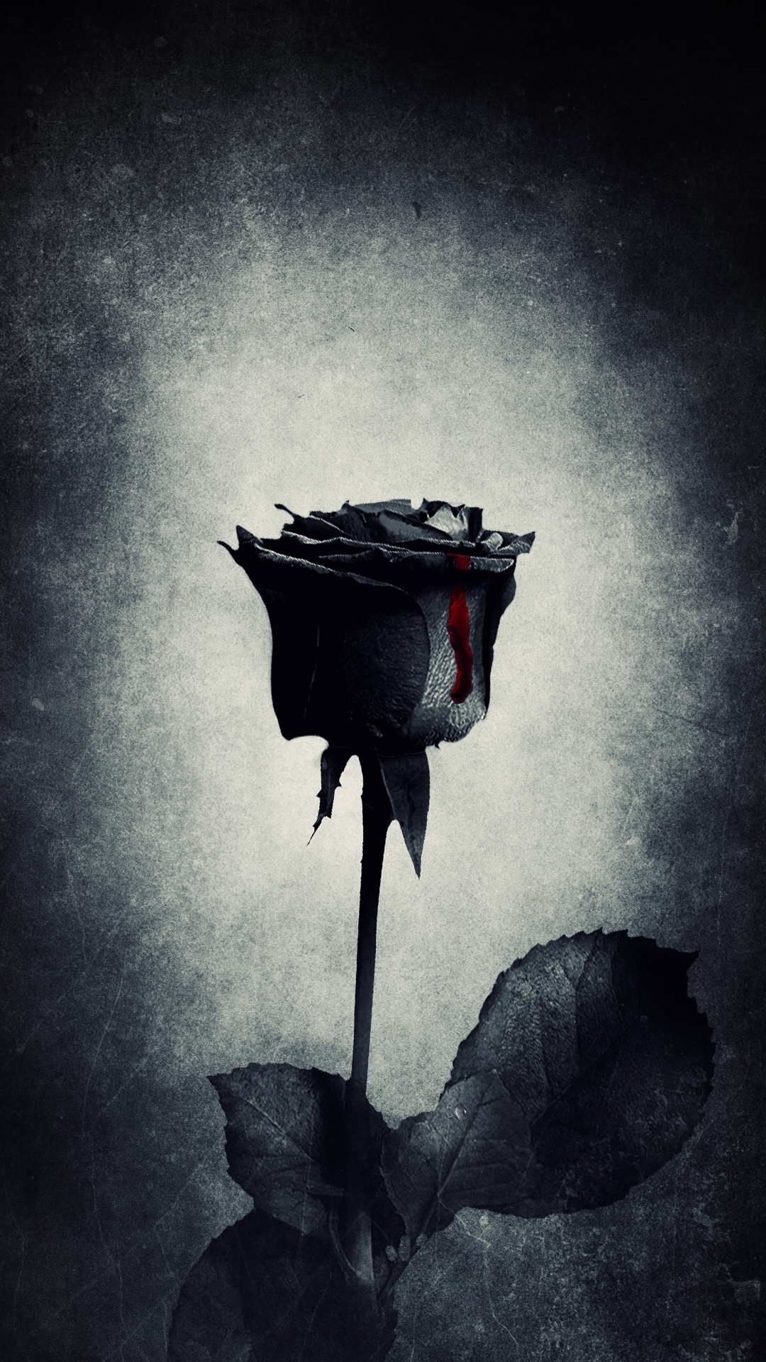 Black Rose, Rose, Black, Flower, Goth Subculture. Wallpaper in 1080x1920 Resolution