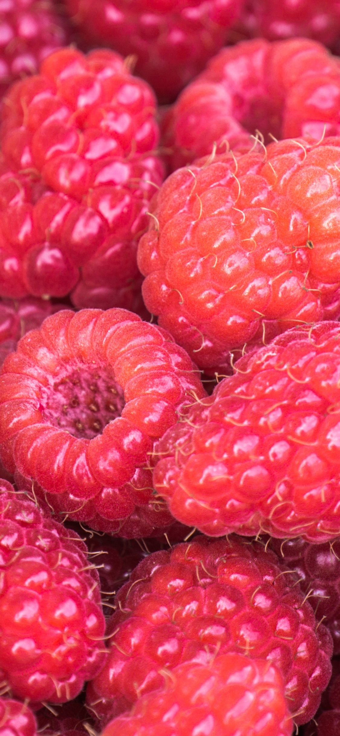 Red Raspberry Fruits in Close up Photography. Wallpaper in 1125x2436 Resolution