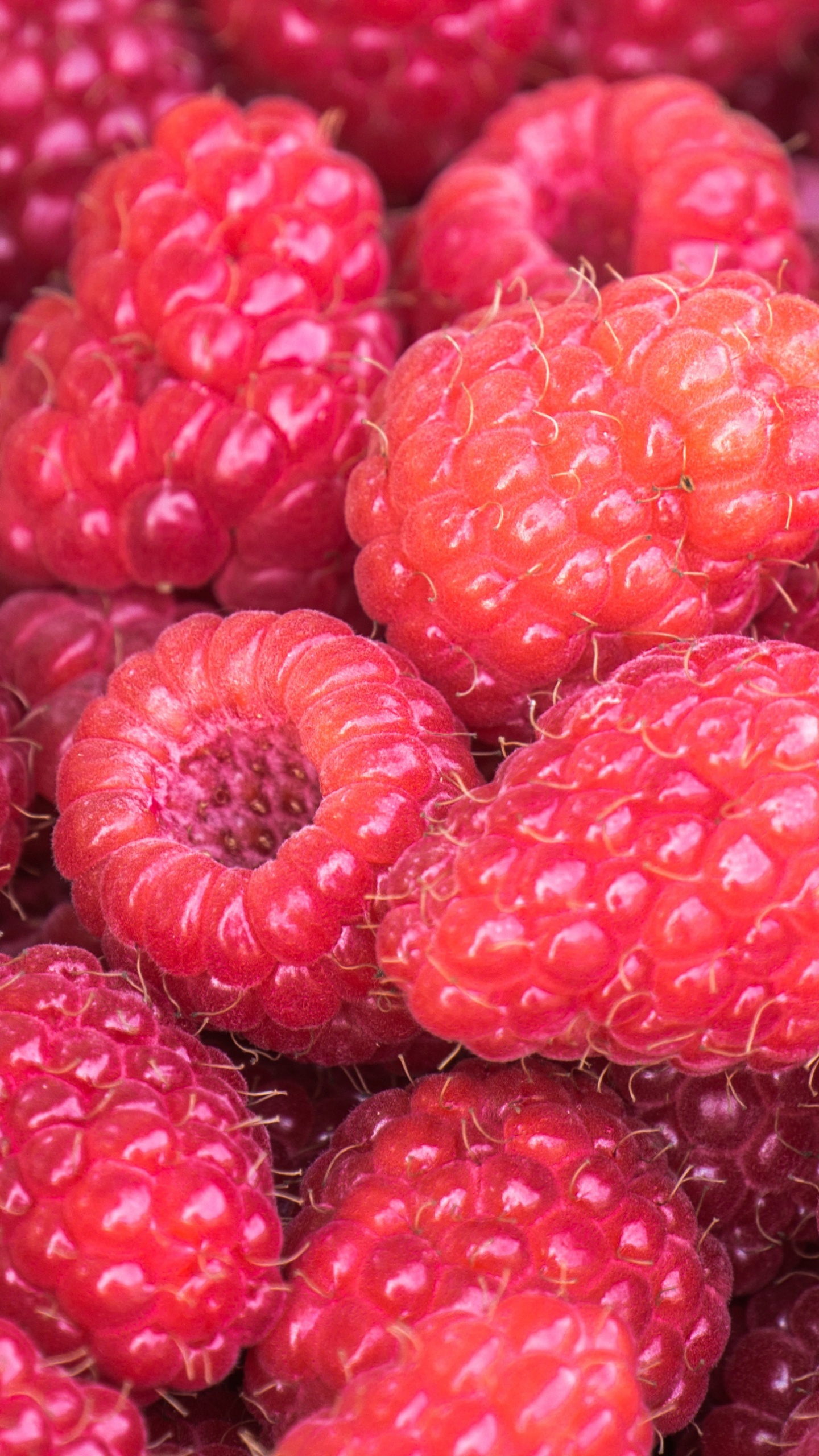 Red Raspberry Fruits in Close up Photography. Wallpaper in 1440x2560 Resolution