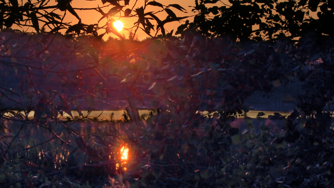 Natur, Sonnenuntergang, Wasser, Baum, Licht. Wallpaper in 1366x768 Resolution