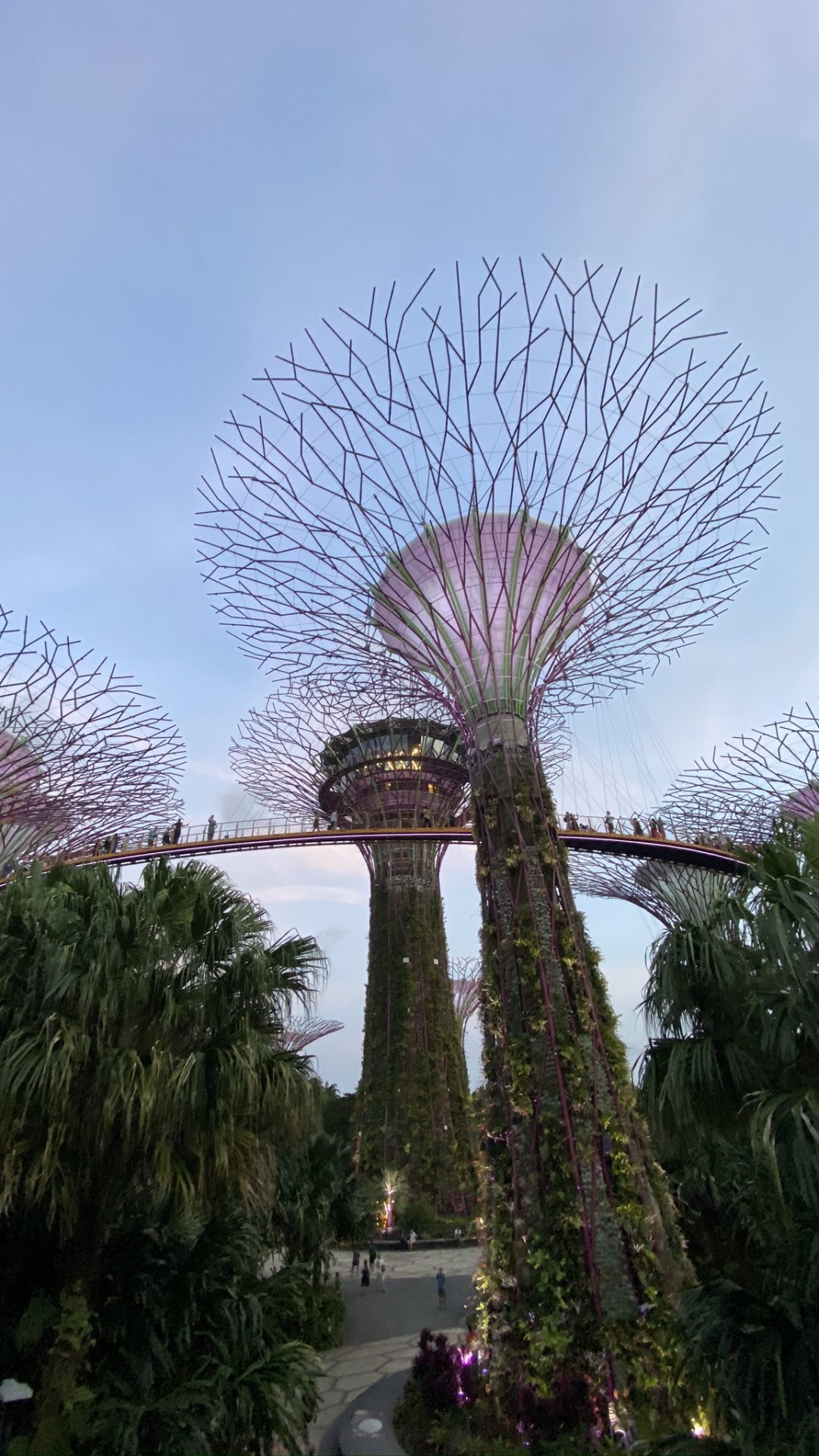 Singapore, Marina City Park, Palm Trees, Tourist Attraction, Garden. Wallpaper in 1080x1920 Resolution