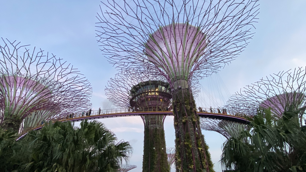 Singapour, Parc de la Ville de Marina, Palmier, Attraction Touristique, Garden. Wallpaper in 1280x720 Resolution