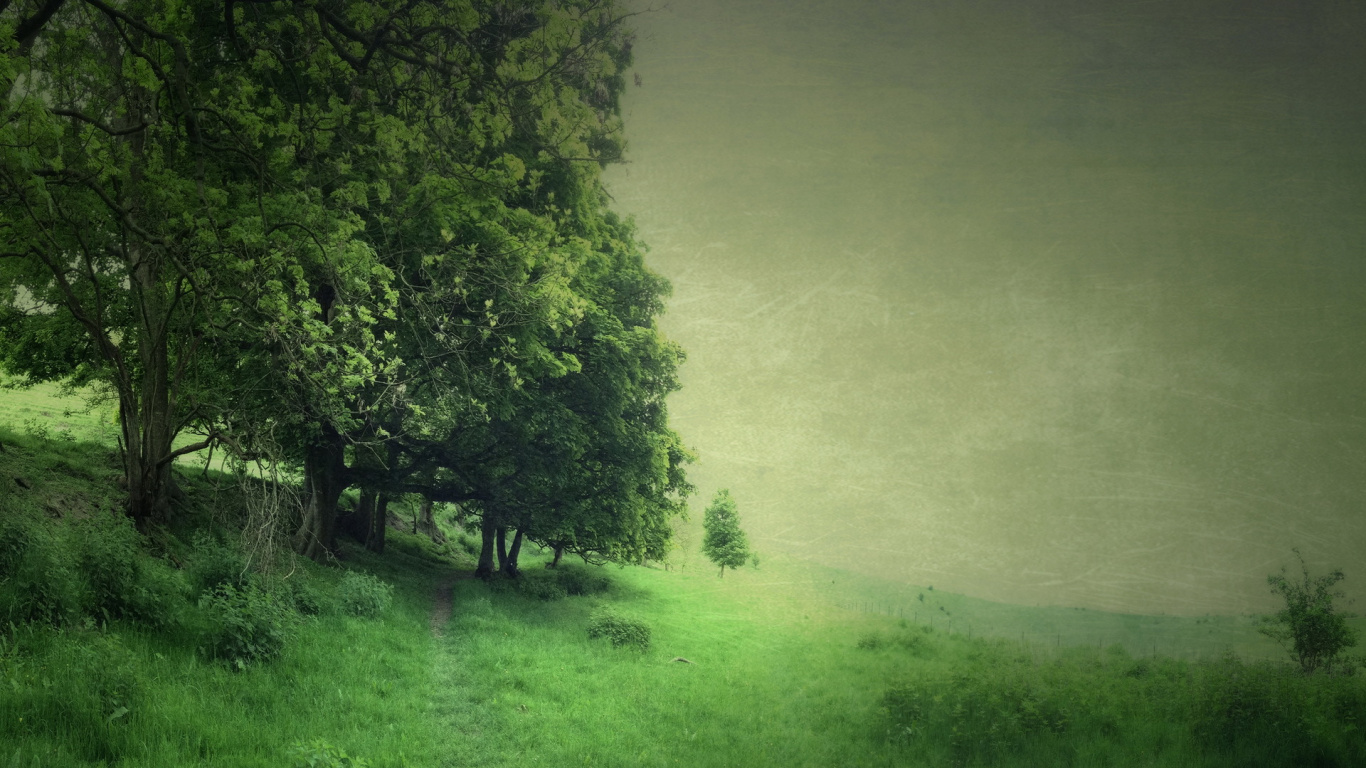 Banco de Madera Marrón Sobre Campo de Hierba Verde. Wallpaper in 1366x768 Resolution