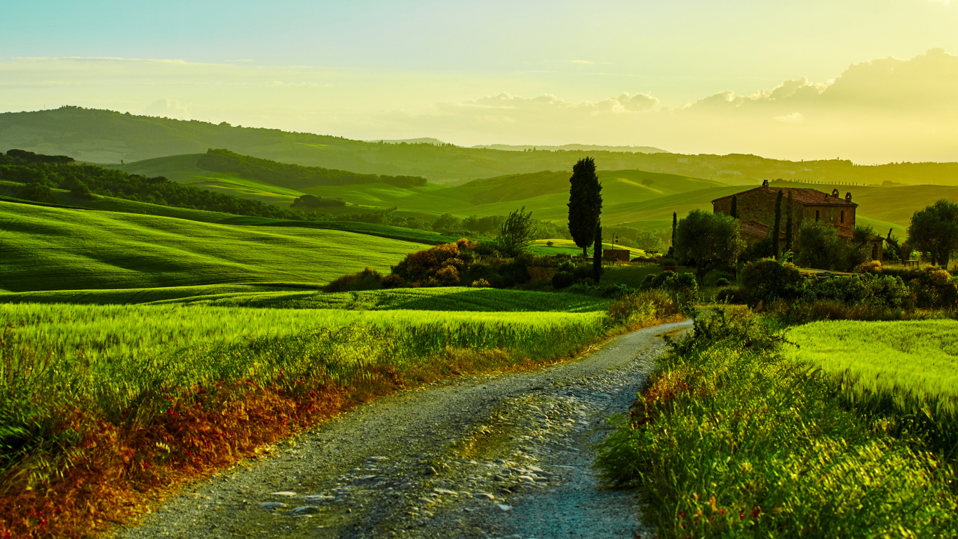Tagsüber Grüne Wiese in Der Nähe Der Straße. Wallpaper in 1366x768 Resolution