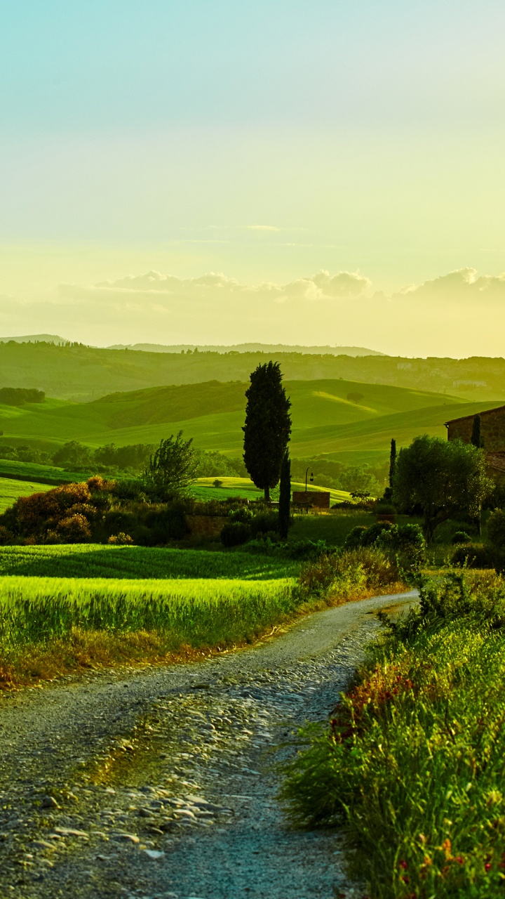 Green Grass Field Near Road During Daytime. Wallpaper in 720x1280 Resolution