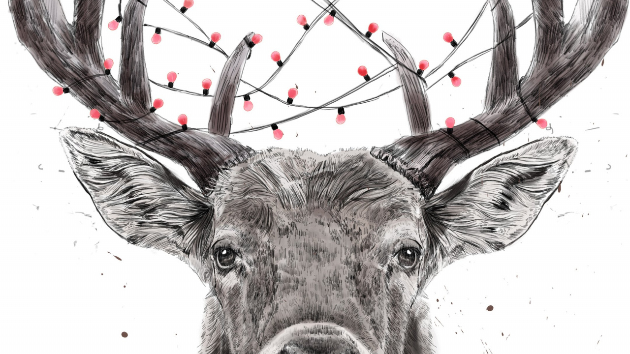 Renne, Elk, Art, White, Pente. Wallpaper in 1280x720 Resolution