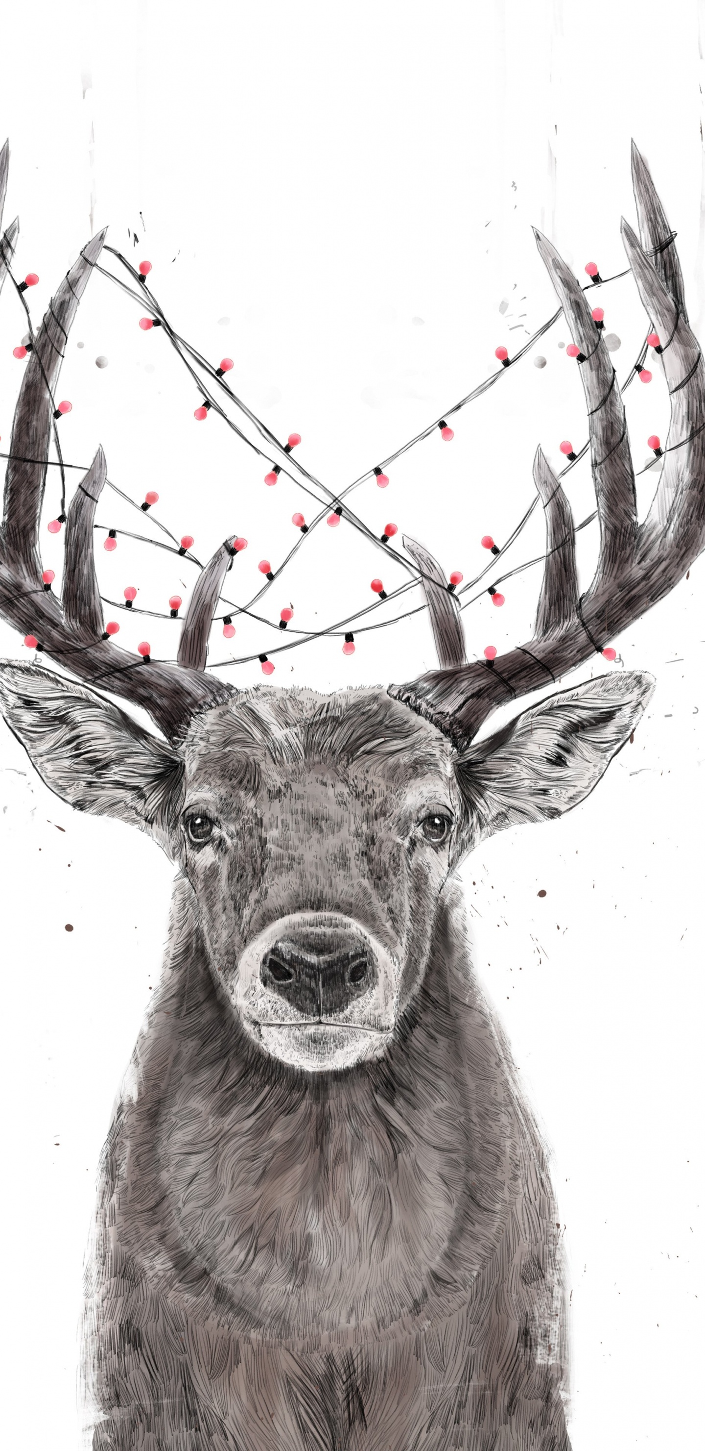 Rentier, Hirsch, Kunst, Wei, Piste. Wallpaper in 1440x2960 Resolution