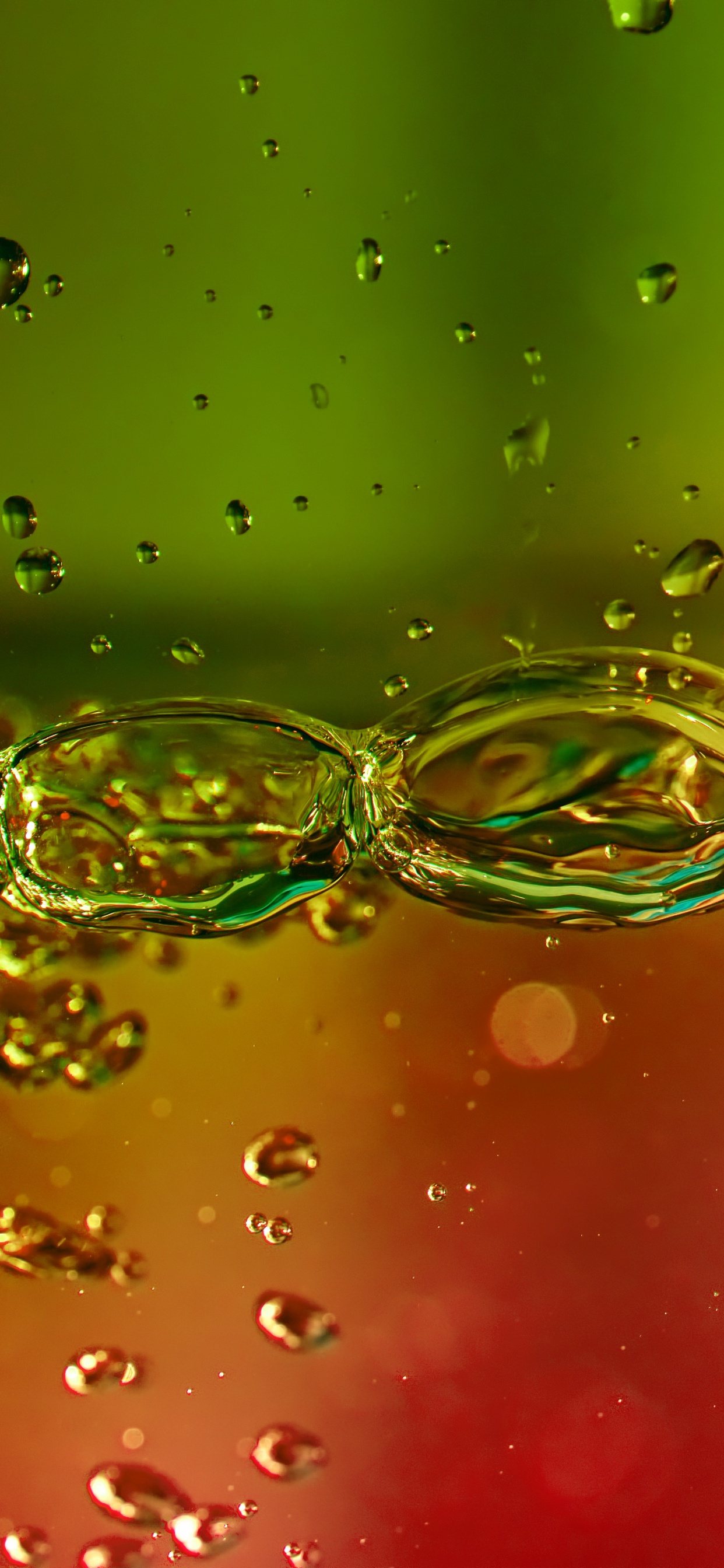 Eau, Green, Liquid, Red, Liquide à Bulles. Wallpaper in 1242x2688 Resolution